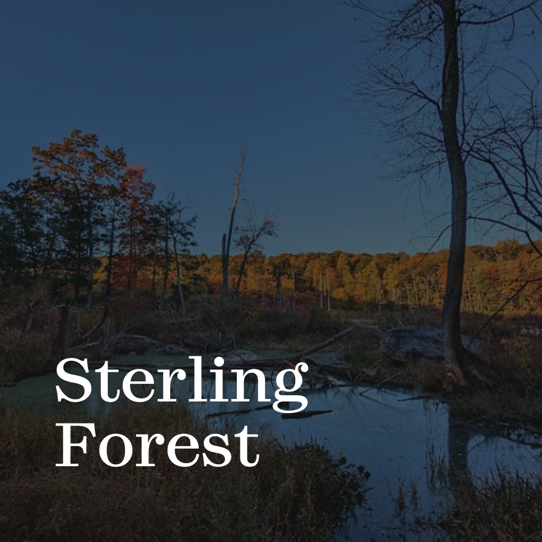 Click here to visit our Sterling Forest page