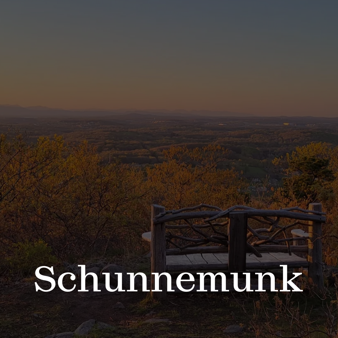 Click here to visit our Schunnemunk page