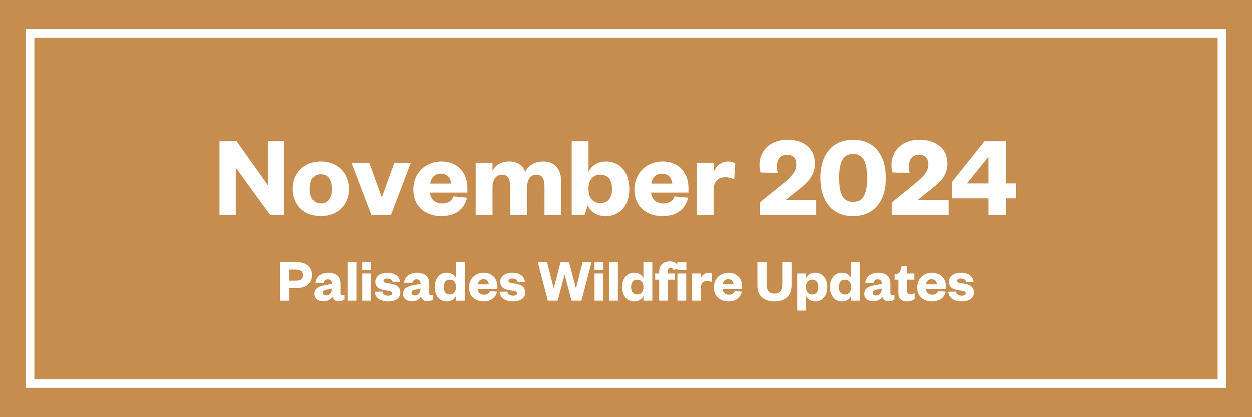 Click here to read our newsletter from November 2024