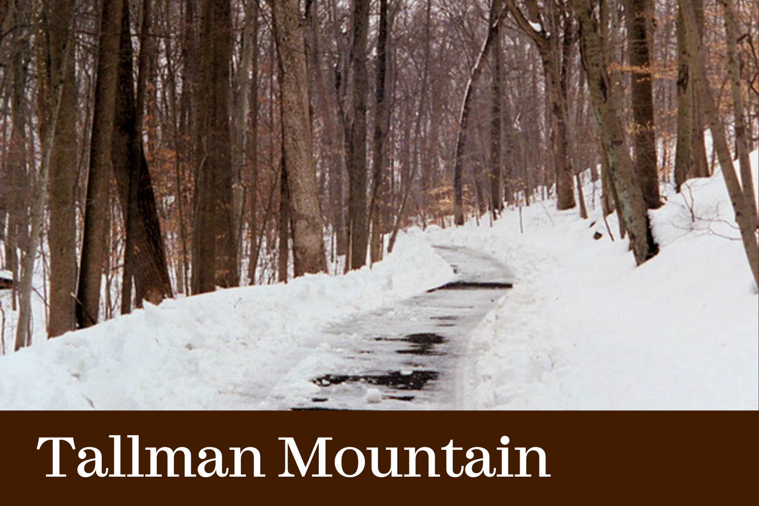 Click here to visit our Tallman Mountain State Park page