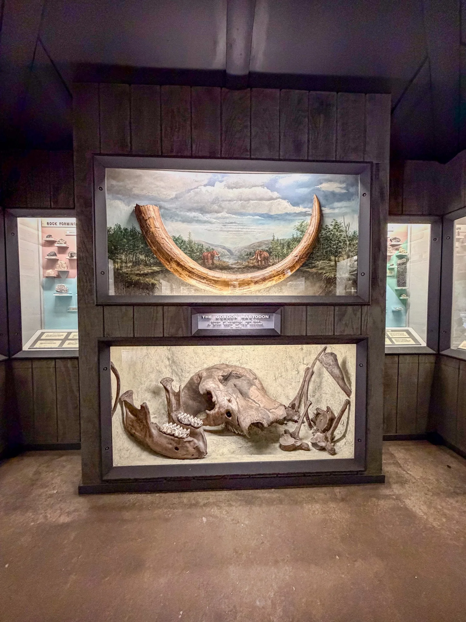 Mastodon at Trailside Zoo.jpg