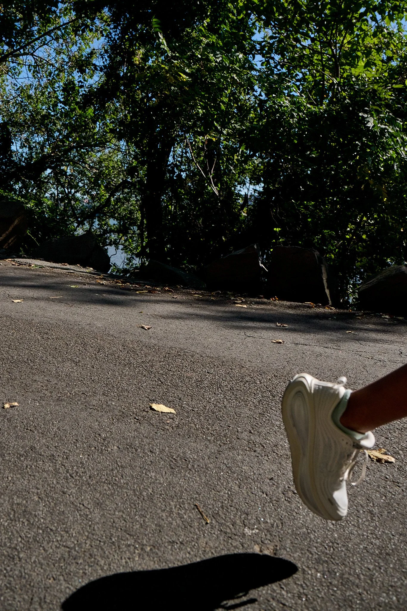 261003_Palisades_Interstate_Park_Race_047_.jpg