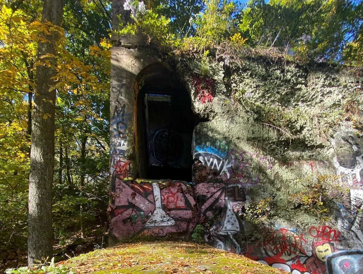 Blauvelt Oh Five Red and White Loop All Trails by Alissa Maglaras.jpg