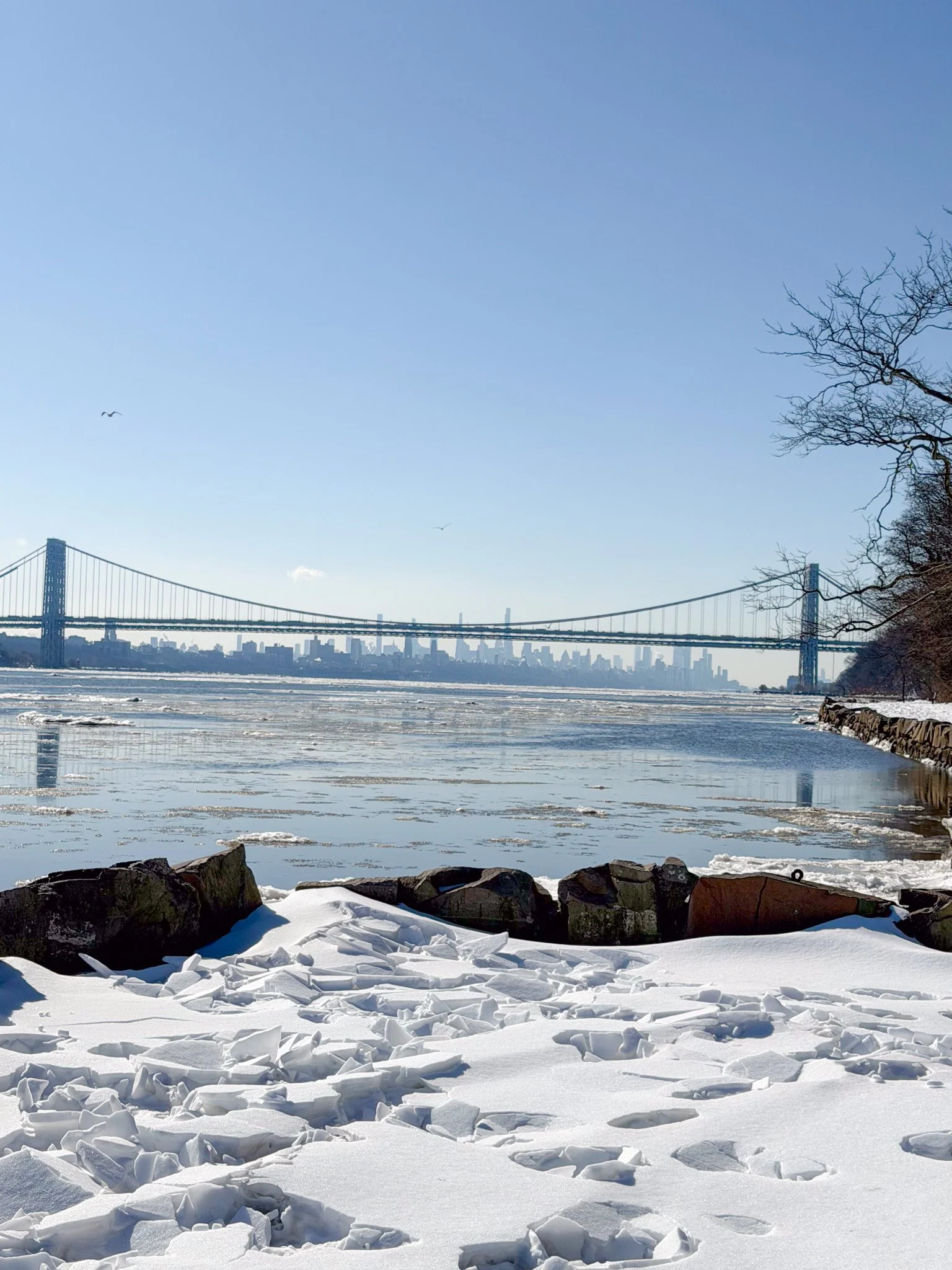 Snow-covered shoreline with rocks, a river with ice, a suspension bridge in the distance, and a city skyline under a clear blue sky.
