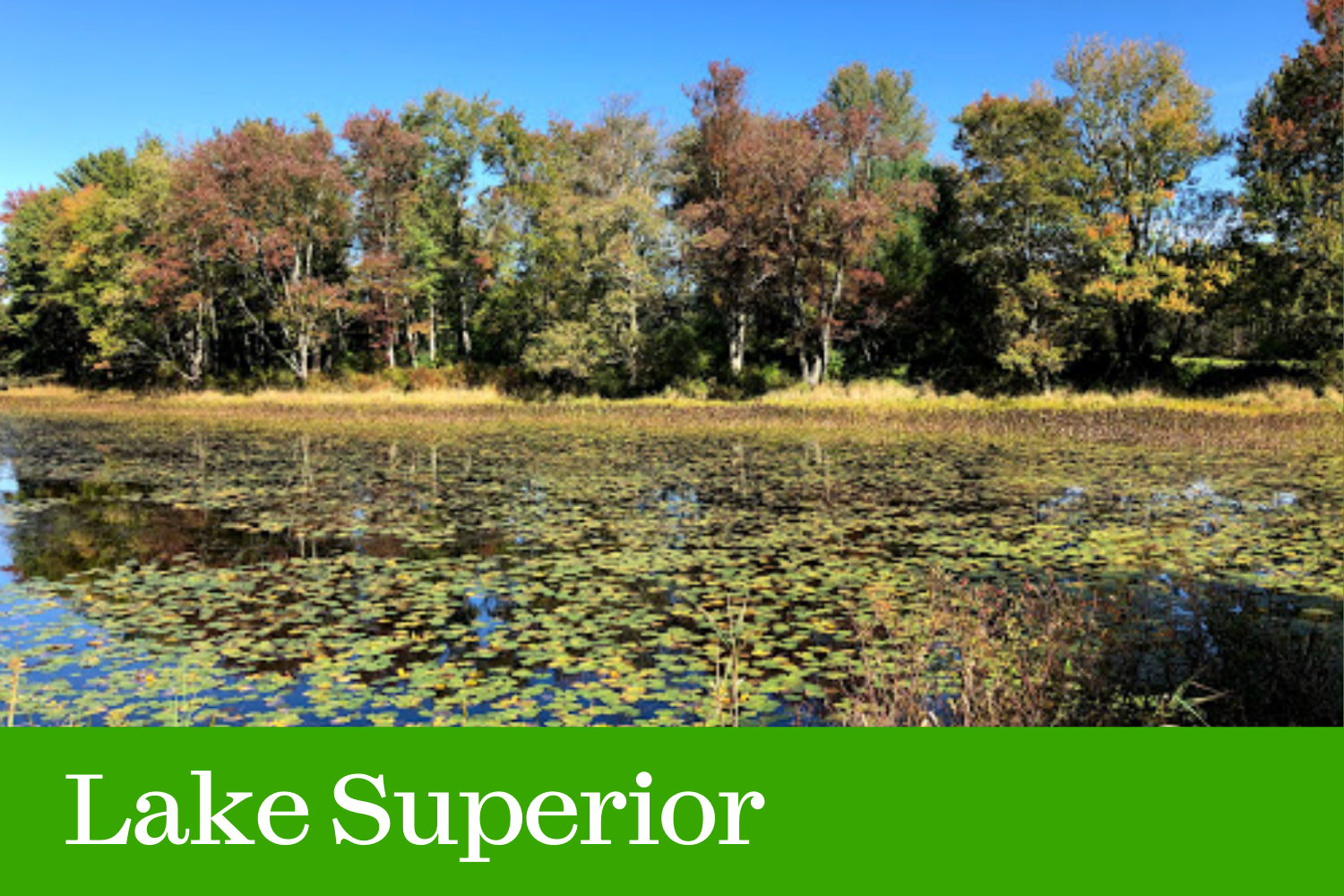 Click here to visit our Lake Superior State Park page