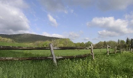schunnemunk Fence Summer.jpg