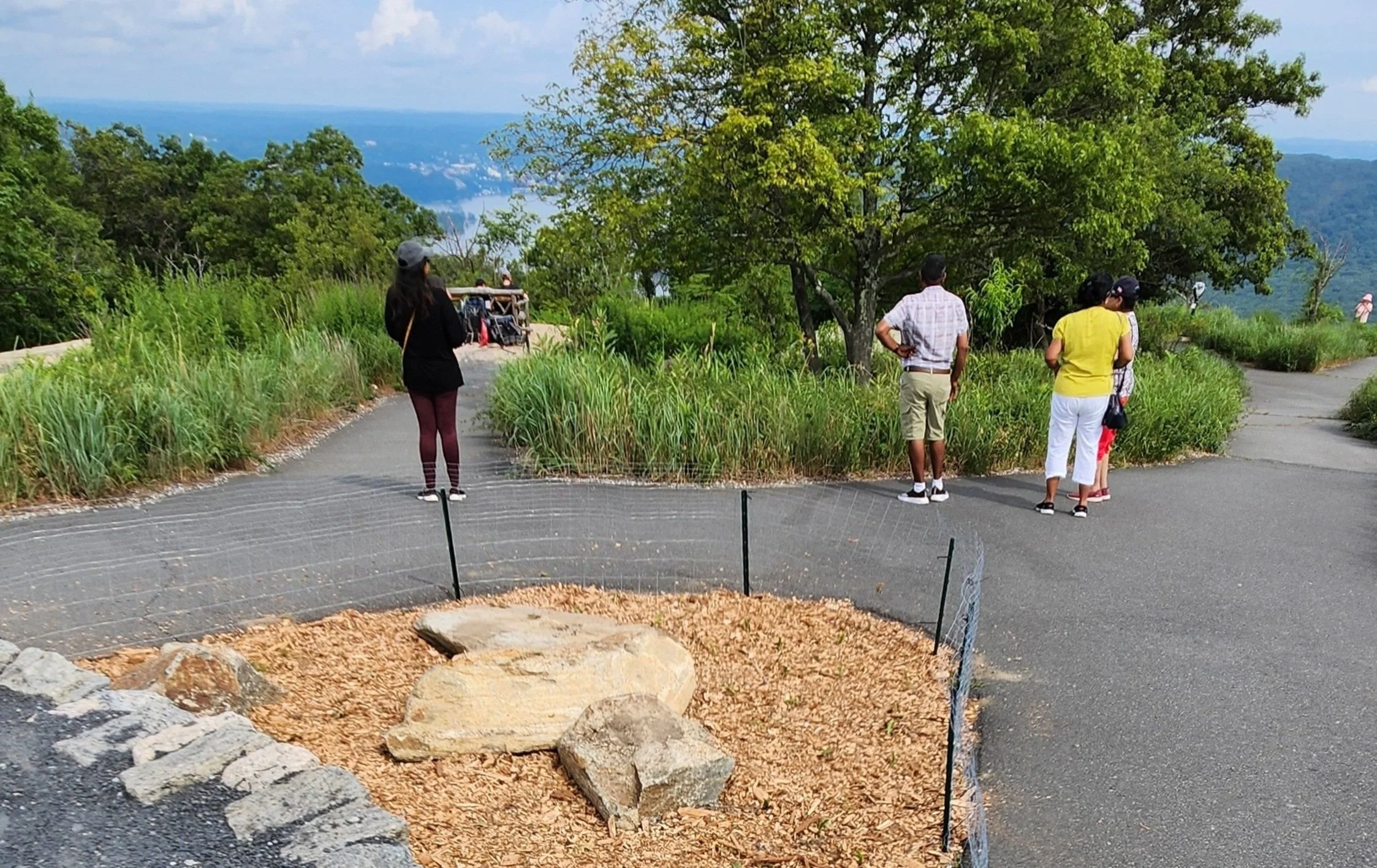 A paved path surrounded by greenery, with a few pedestrians walking on the path.