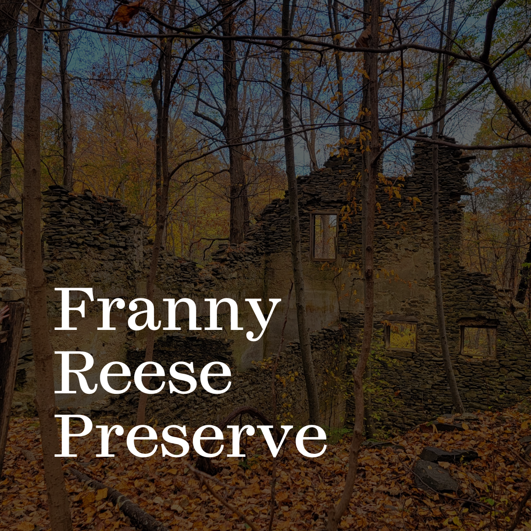 Click here to visit our Franny Reese page