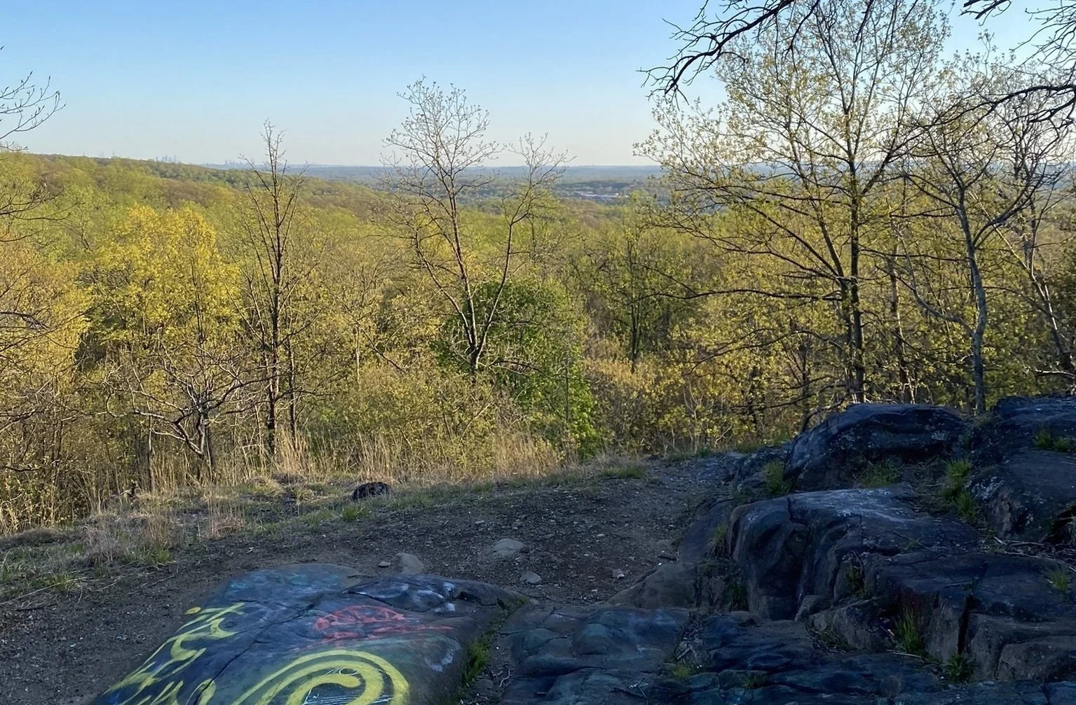 Blauvelt Tackamac Park All Trails by Nicholas Rodriguez.jpg