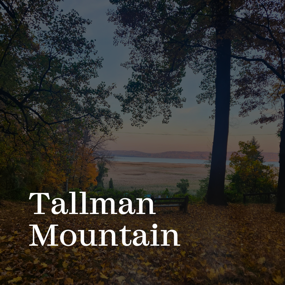 Click here to visit our Tallman Mountain page