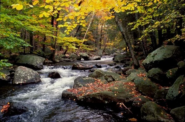 Harriman+stream+by+Joel+Schilling.jpg