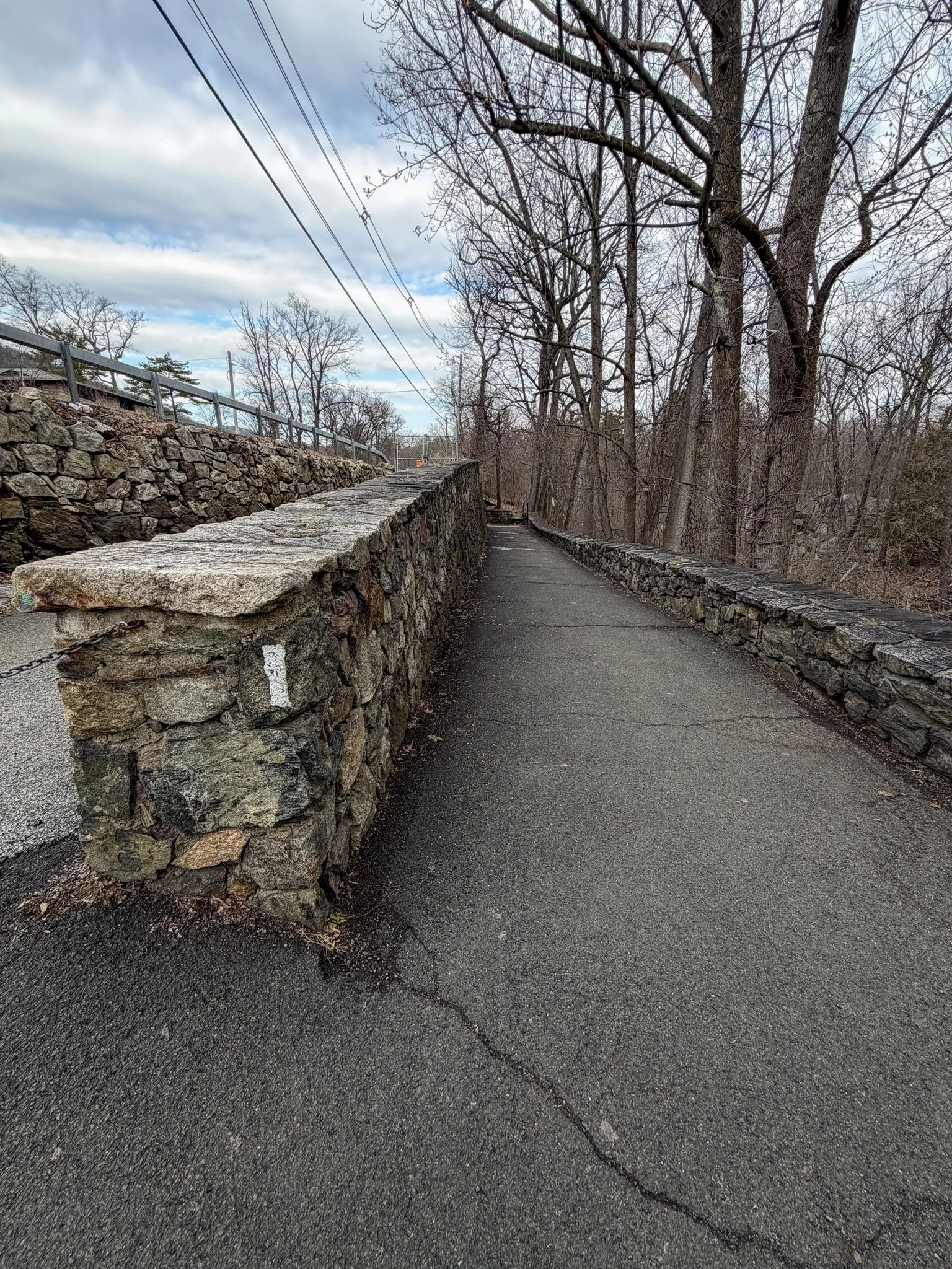 Path to Trailside Zoo.jpg