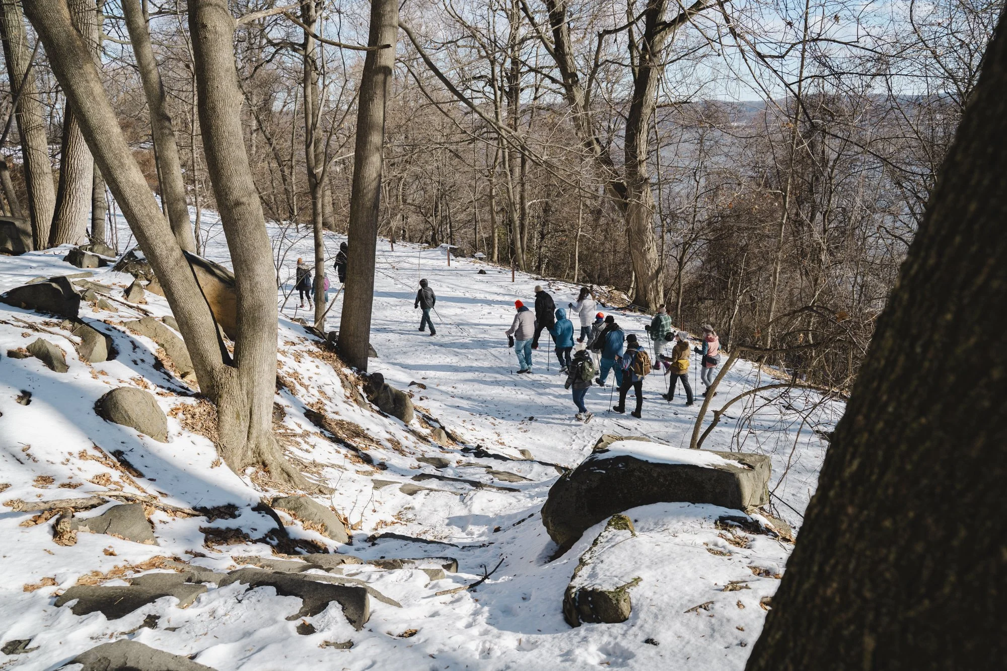 First Hike of the Year 2026 (77 of 110).jpg