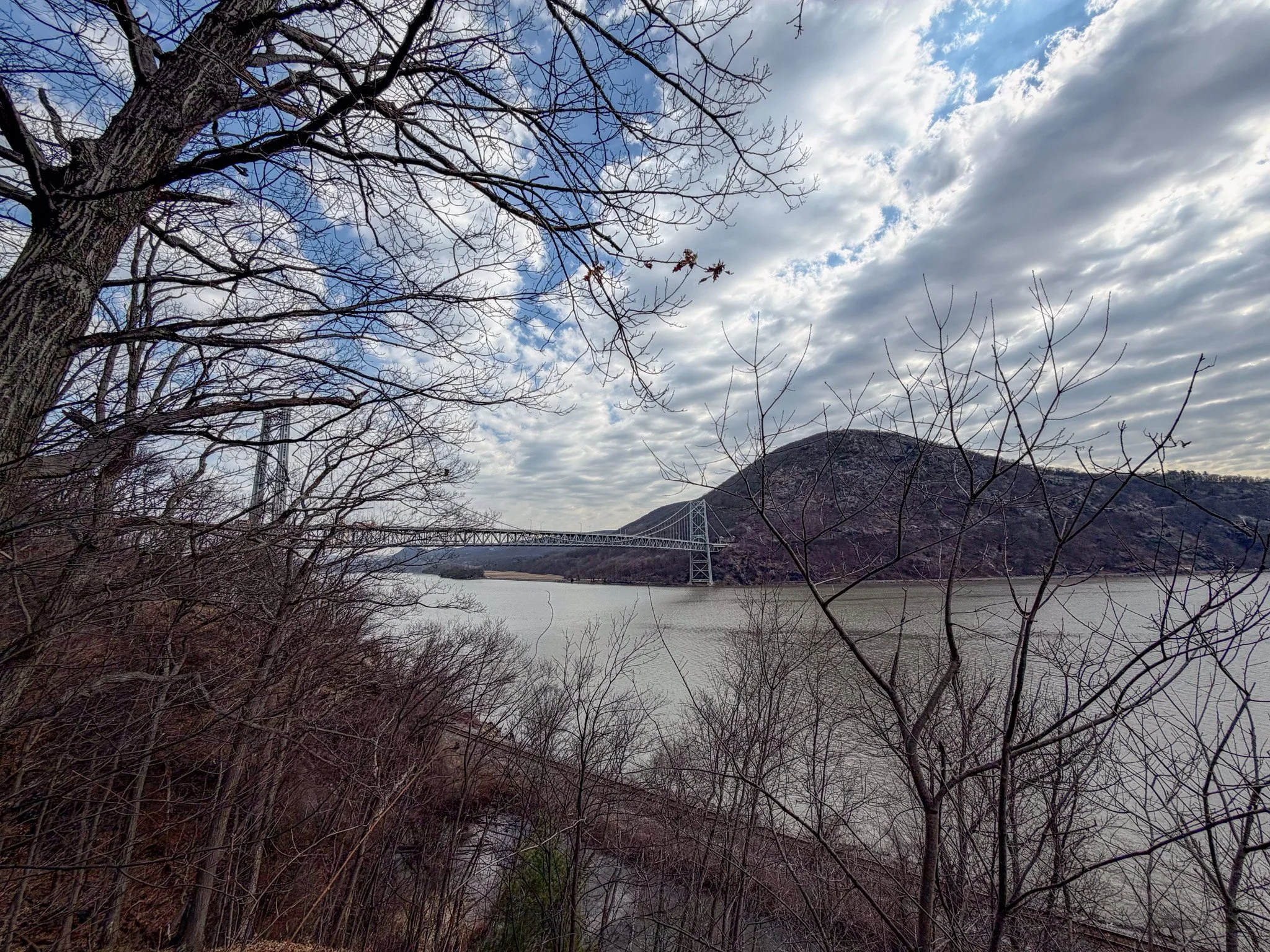 View of Anthonys Nose and Bear Mountain Bridge from Trailside Zoo.jpg