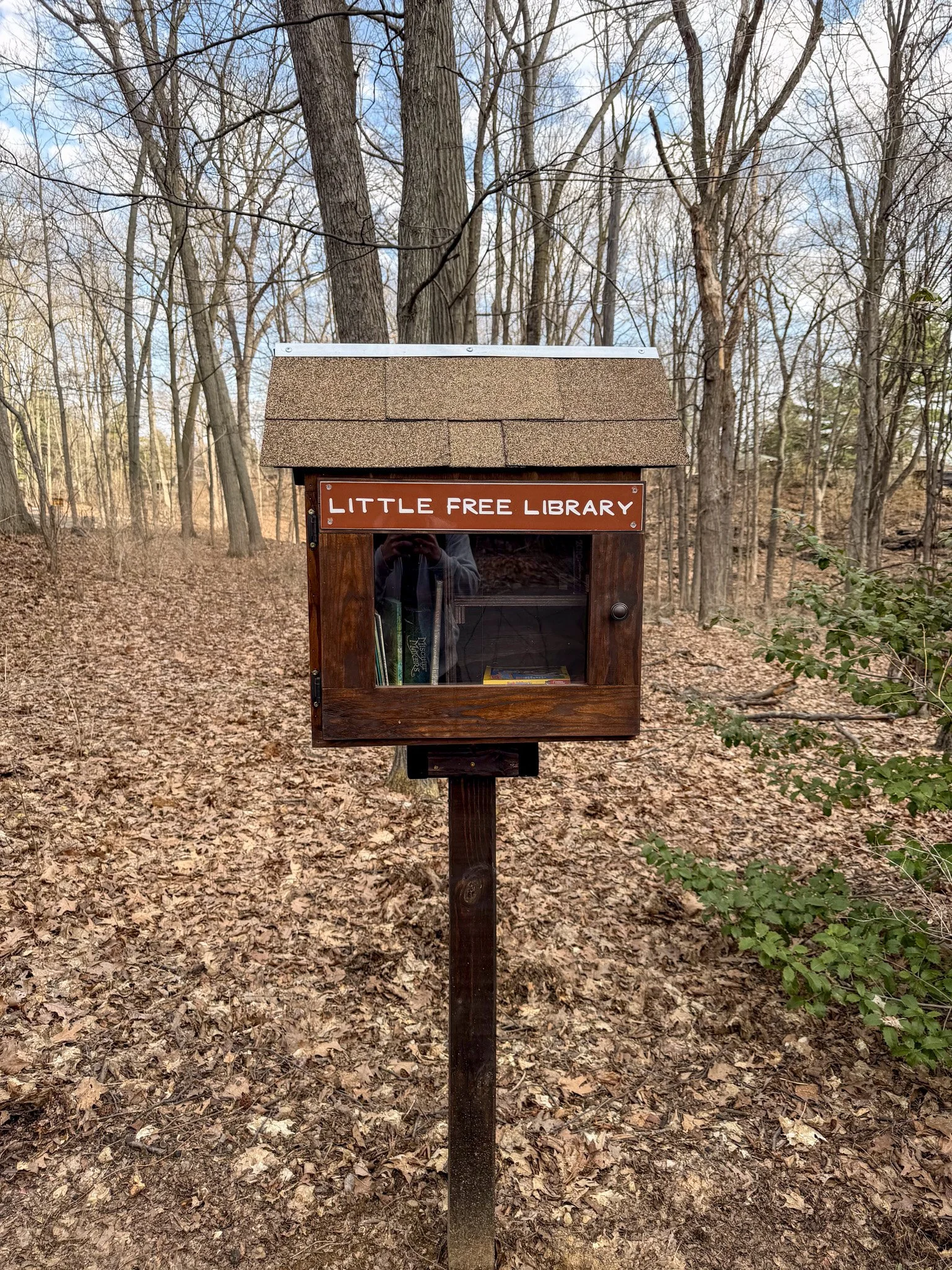Little Free Library at Trailside Zoo.jpg