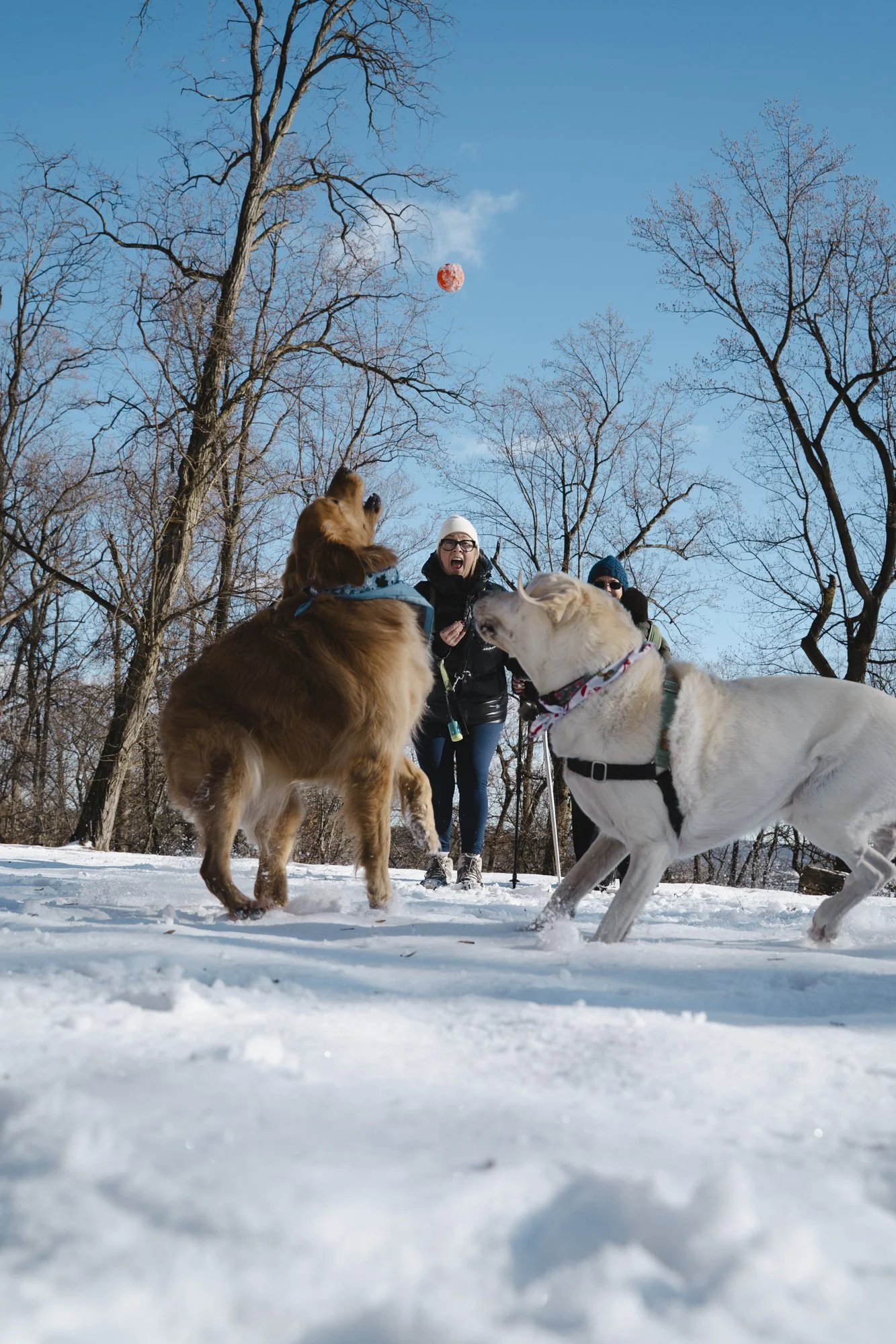 First Hike of the Year 2026 (83 of 110).jpg