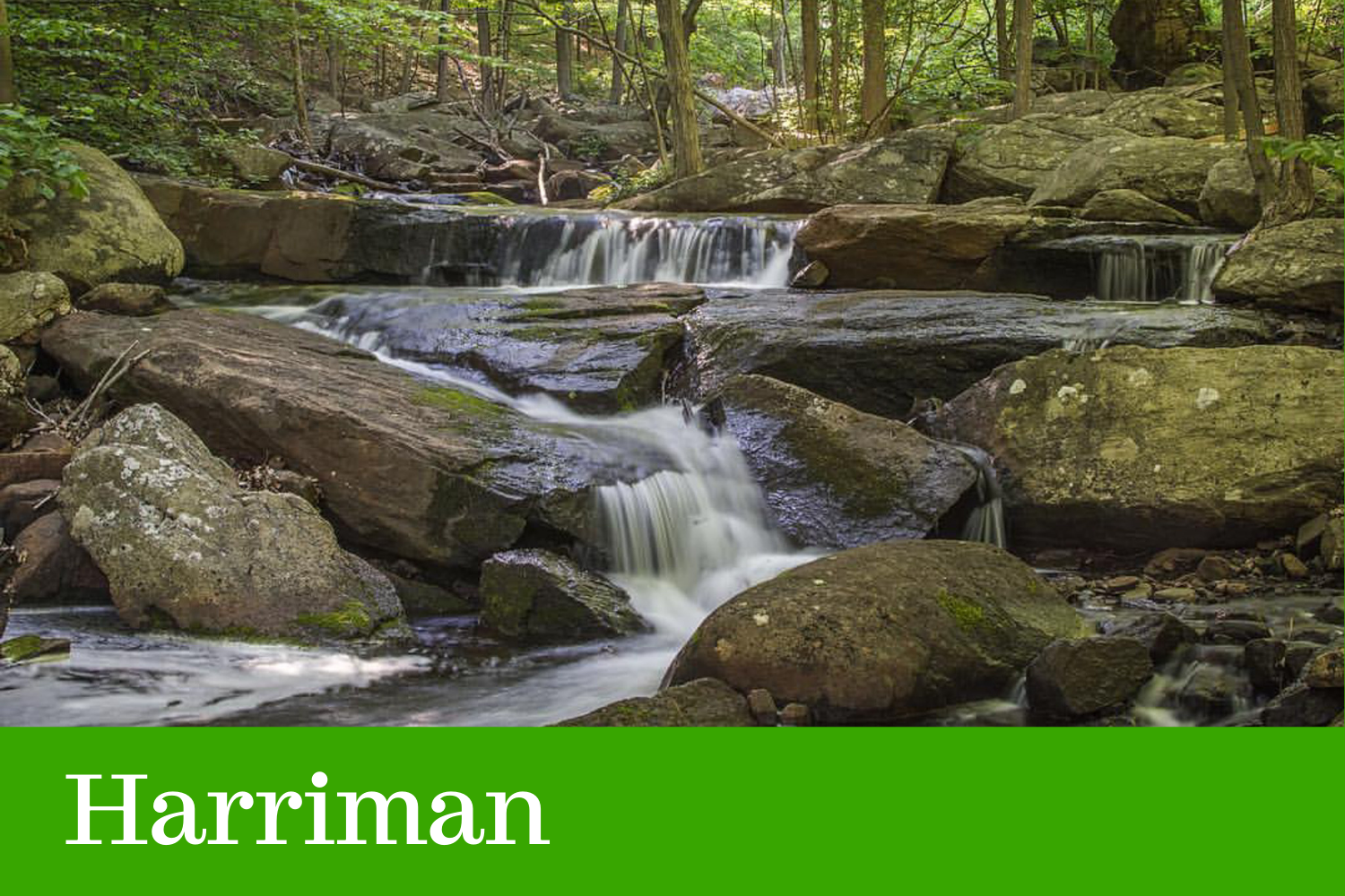 Click here to visit our Harriman State Park page
