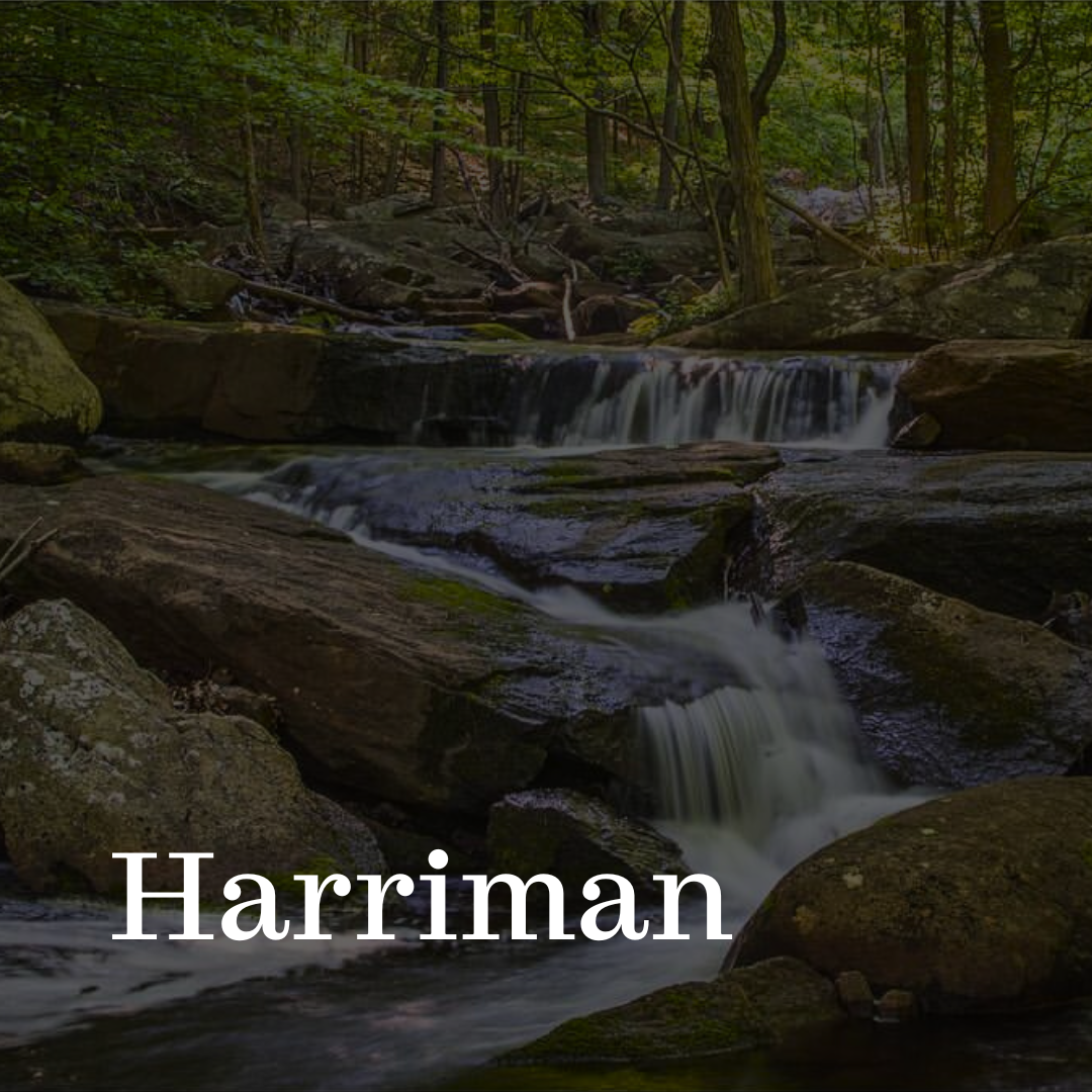 Click here to visit our Harriman page
