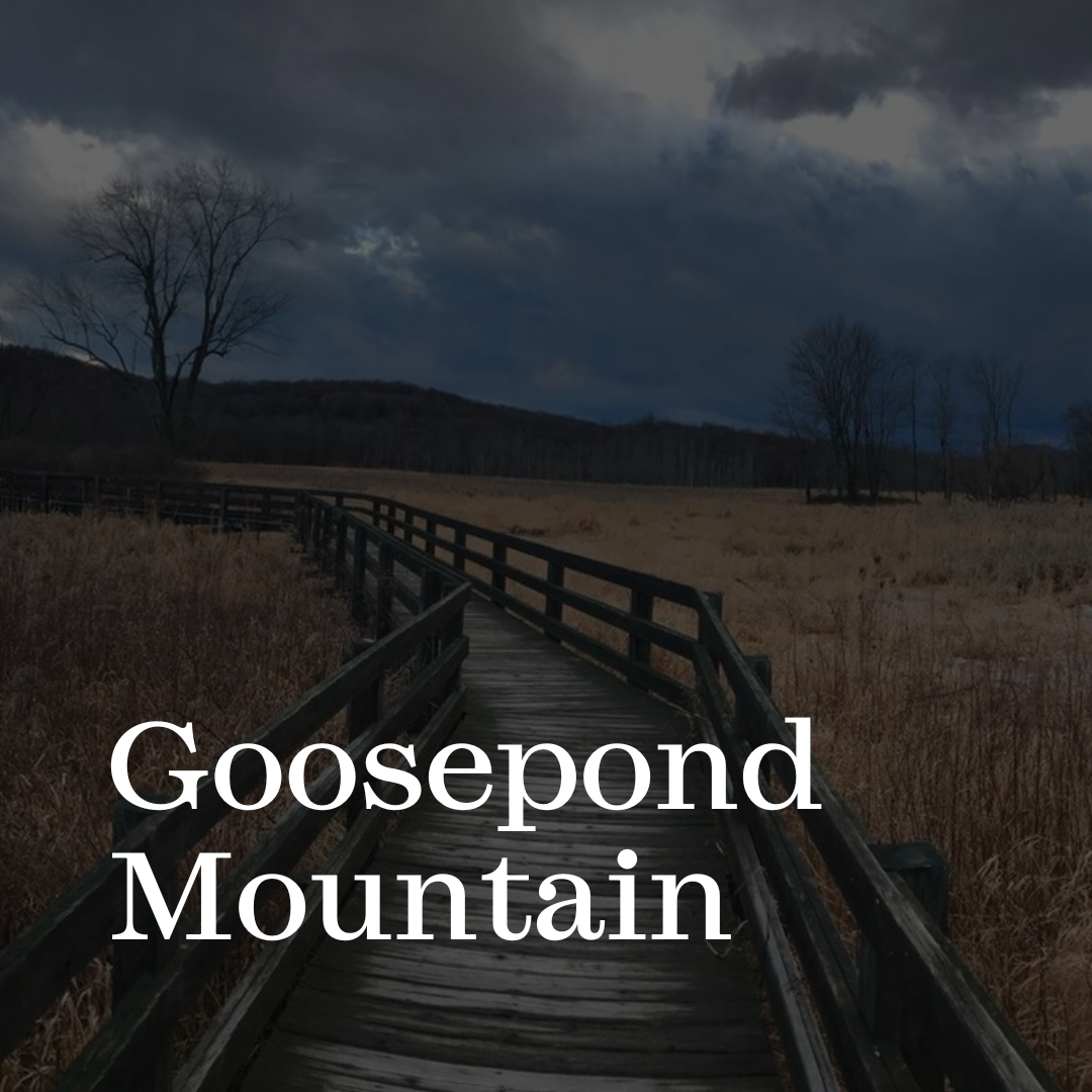 Click here to visit our Goosepond Mountain page