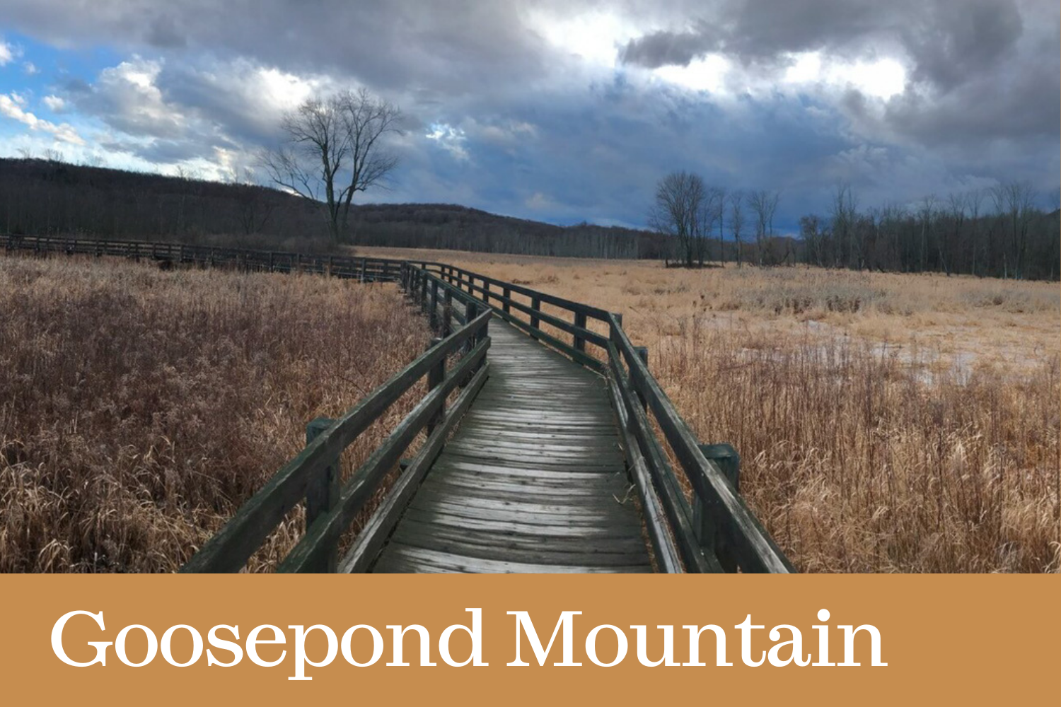 Click here to visit our Goosepond Mountain State Park page
