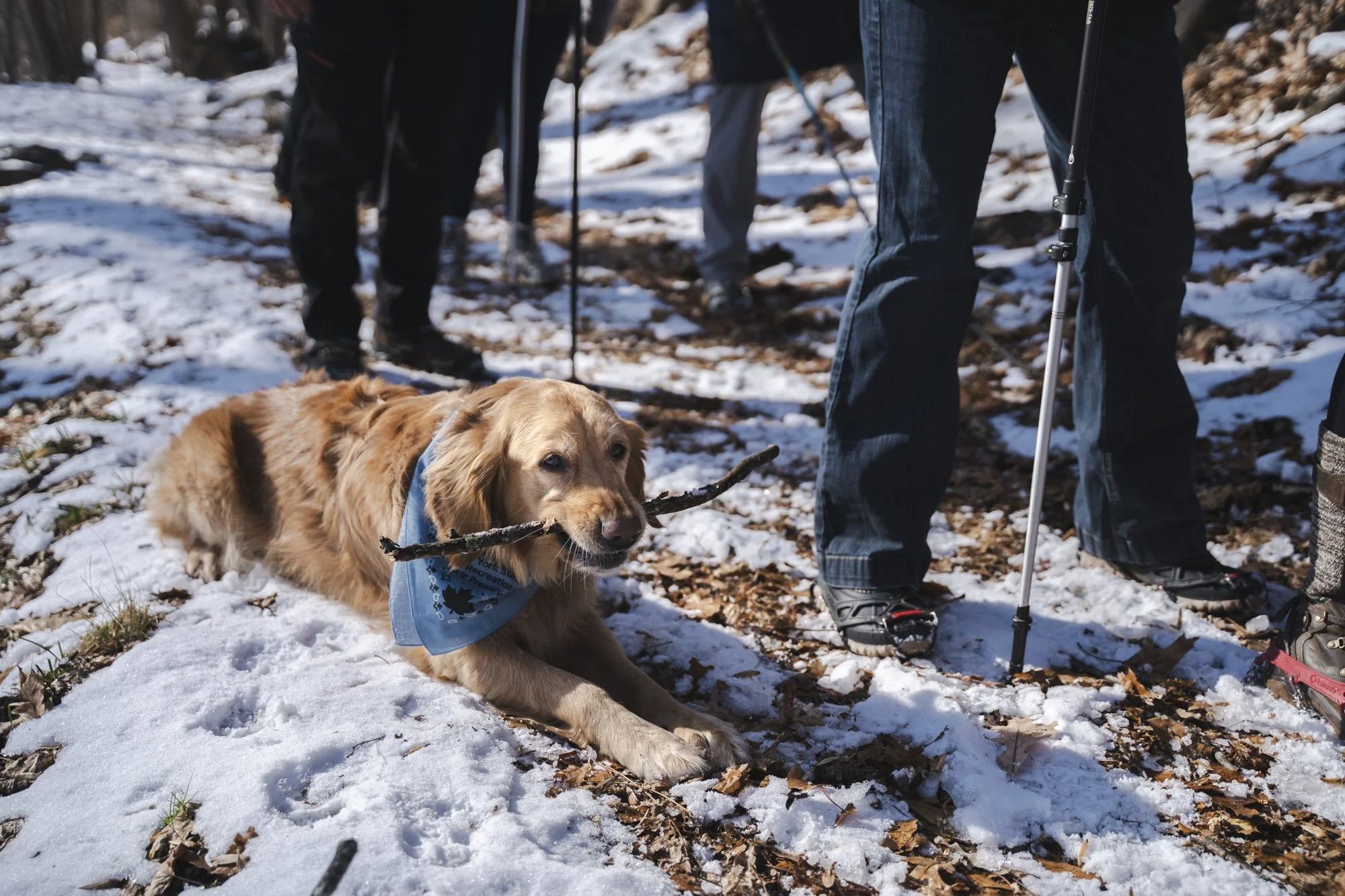 First Hike of the Year 2026 (69 of 110).jpg
