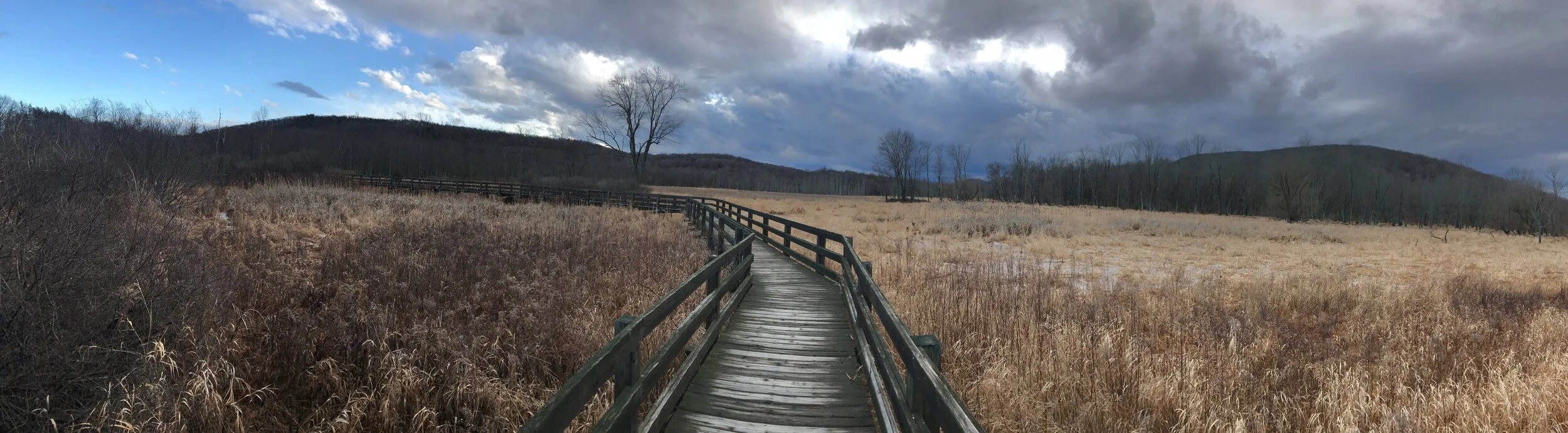 Goosepond Boardwalk.jpg