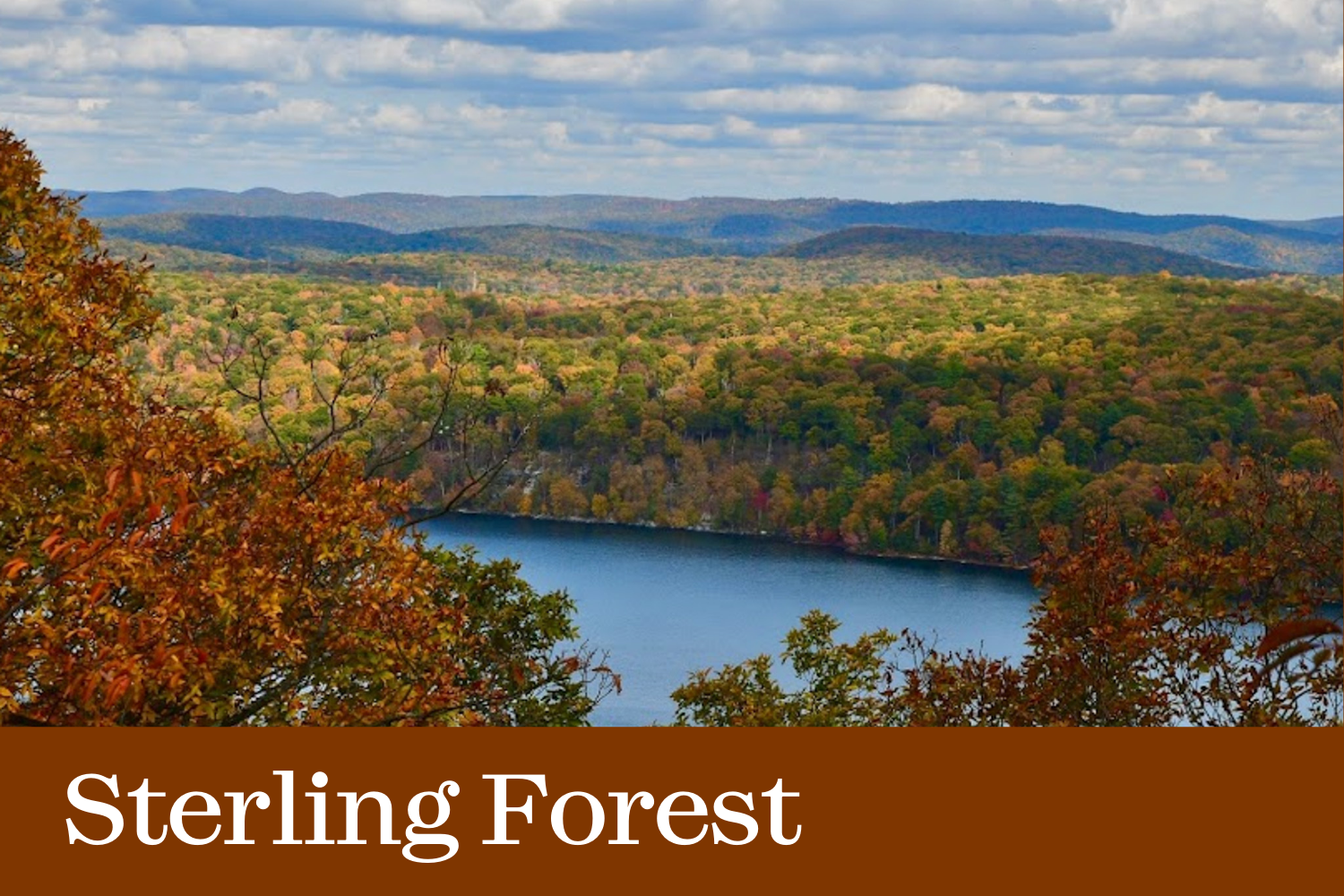 Click here to visit our Sterling Forest State Park page
