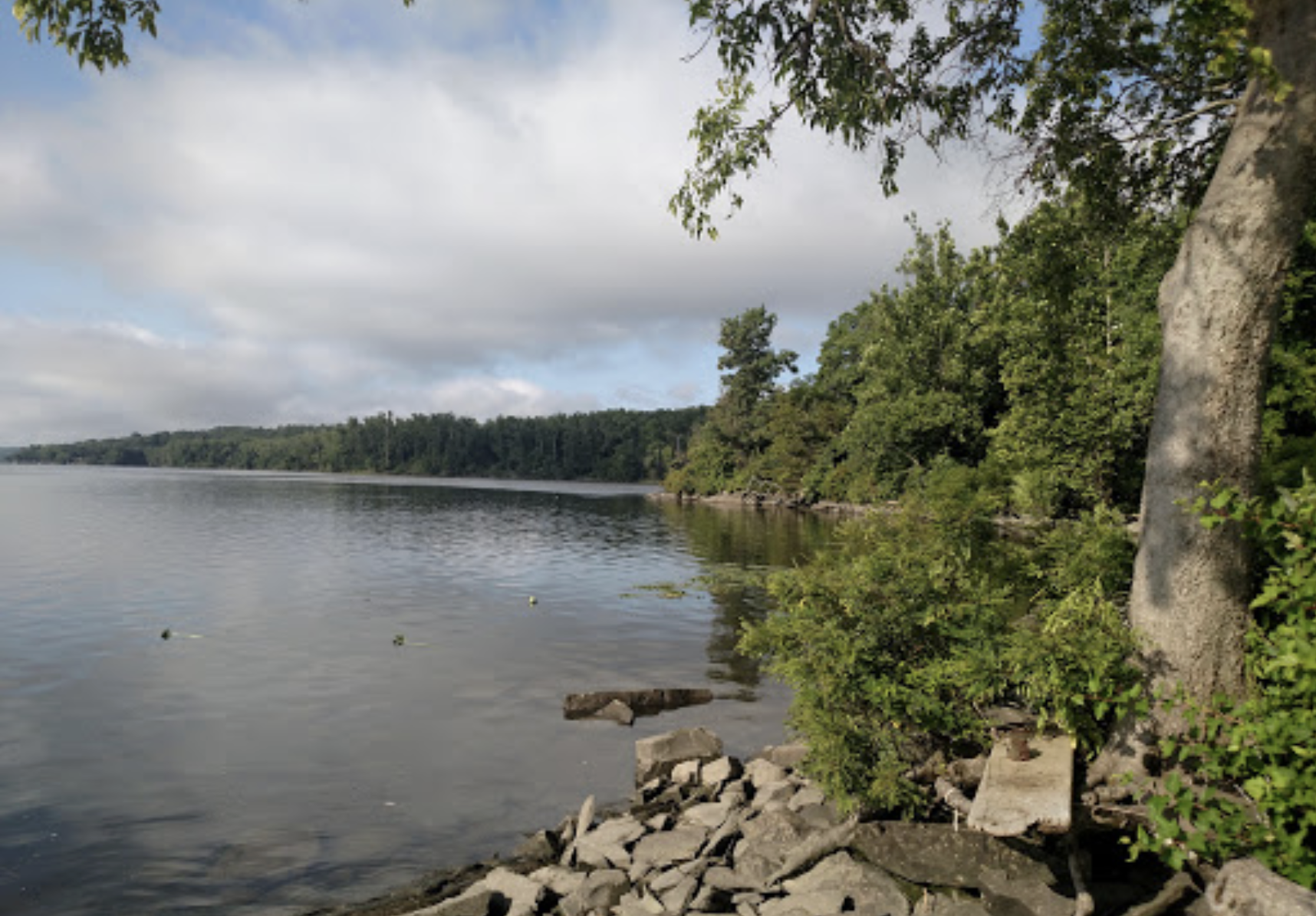 Bristol Beach Google by Shaw Lively.png