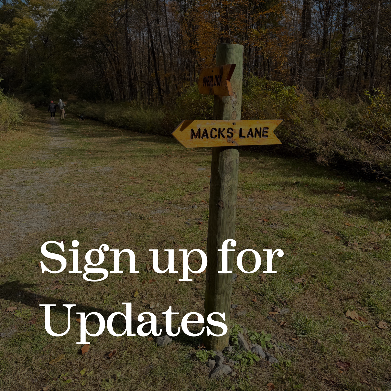 Click here to sign up for our newsletter