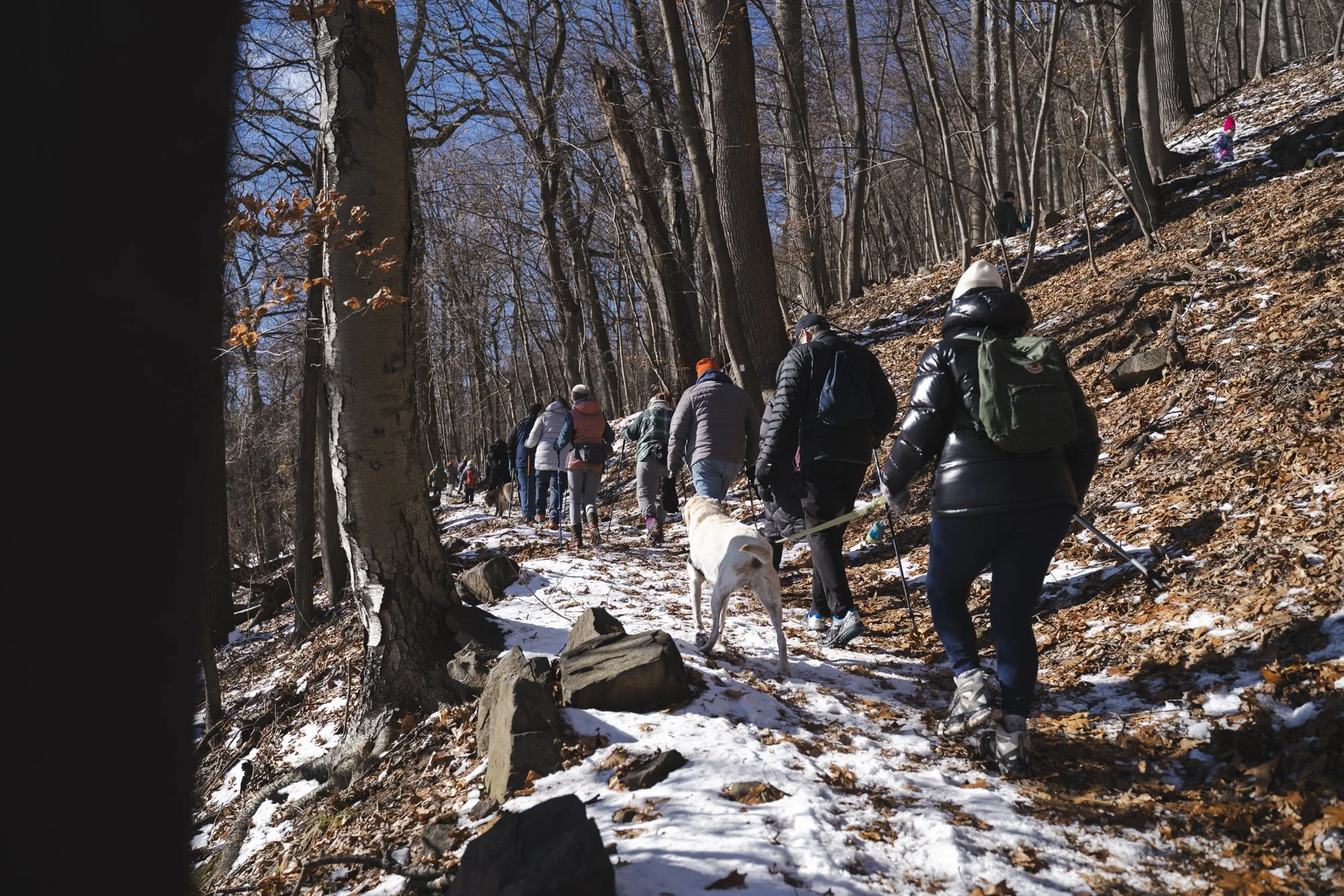 First Hike of the Year 2026 (61 of 110).jpg