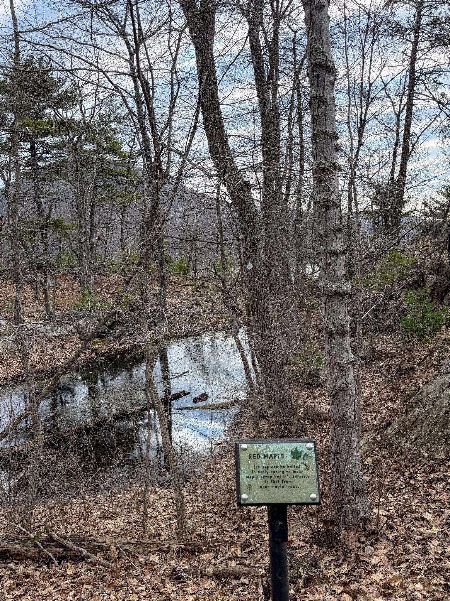 Signs at Trailside Zoo5.jpg