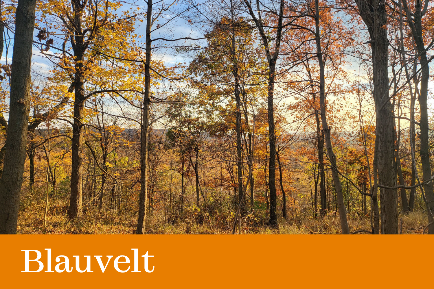 Click here to visit our Blauvelt State Park page
