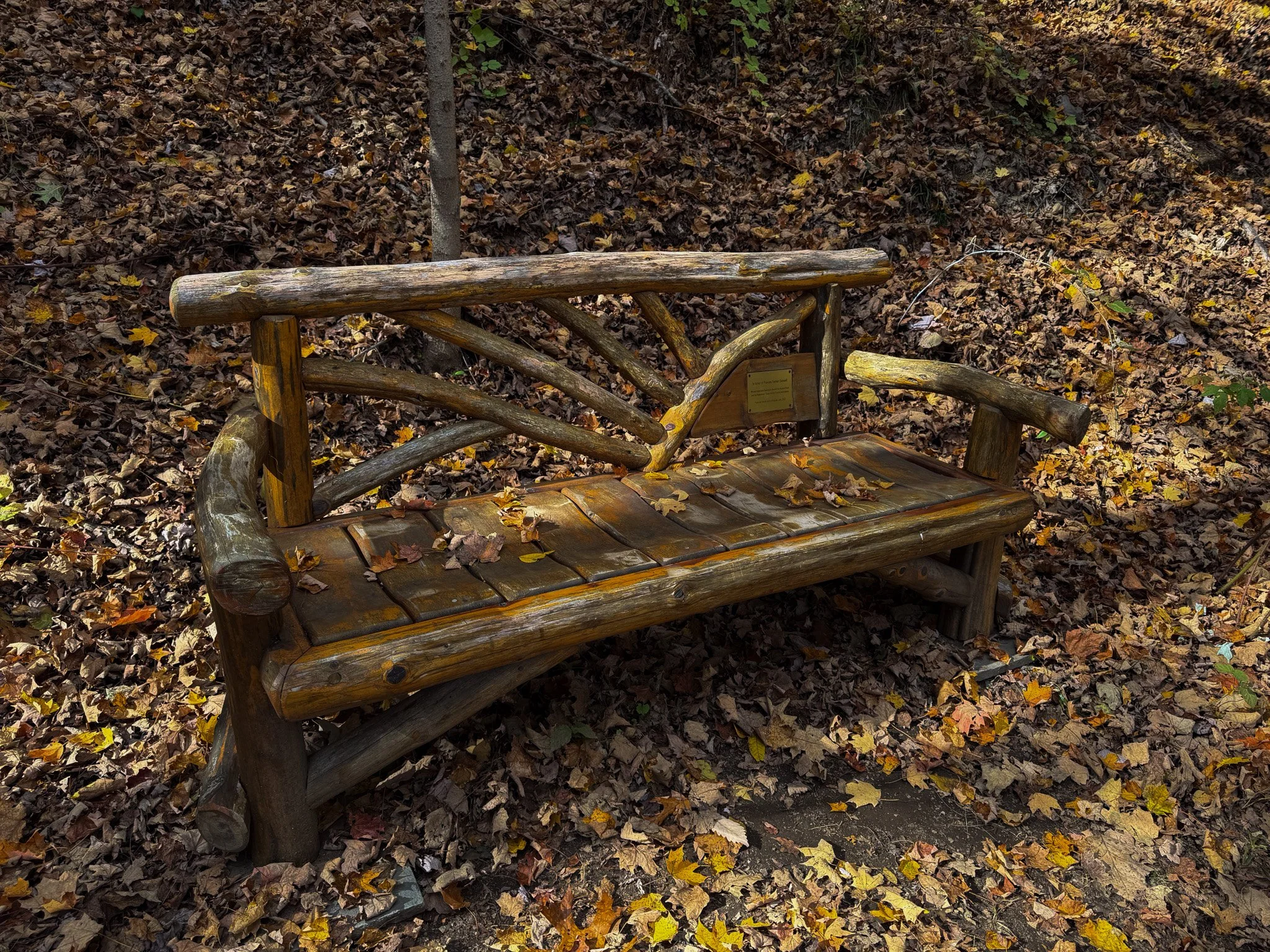 Franny Reese bench.jpg