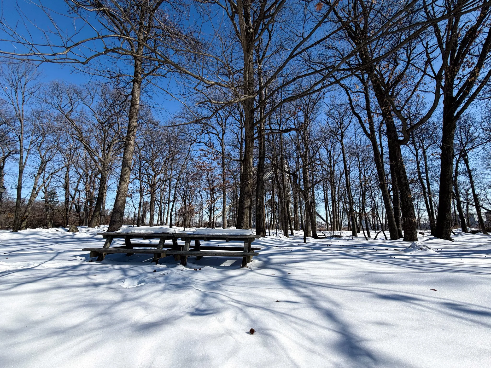 Fort Lee Picnic Bench 2.jpg