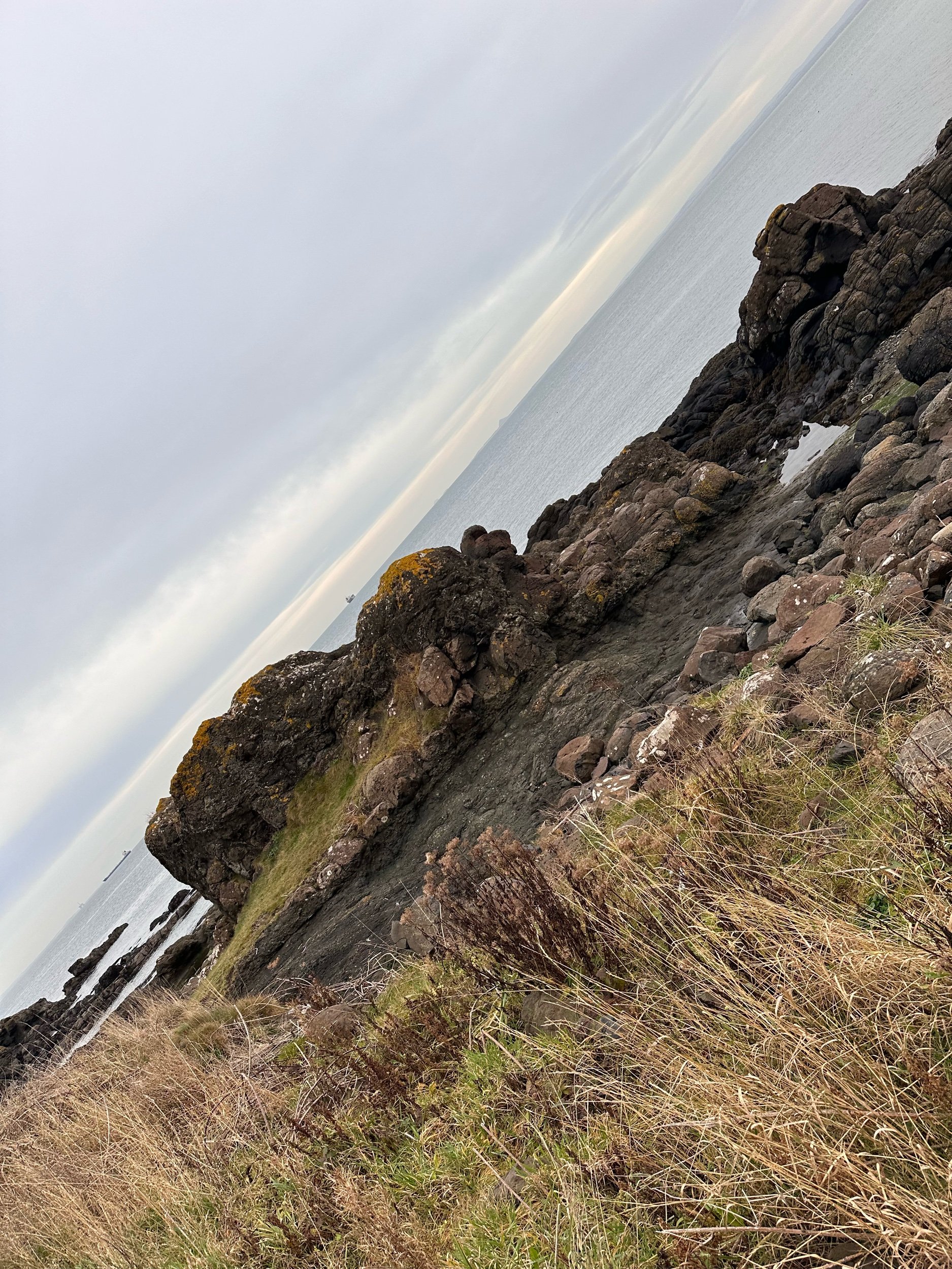 EE414445-64E0-4B39-912F-6B1A00190251.jpeg