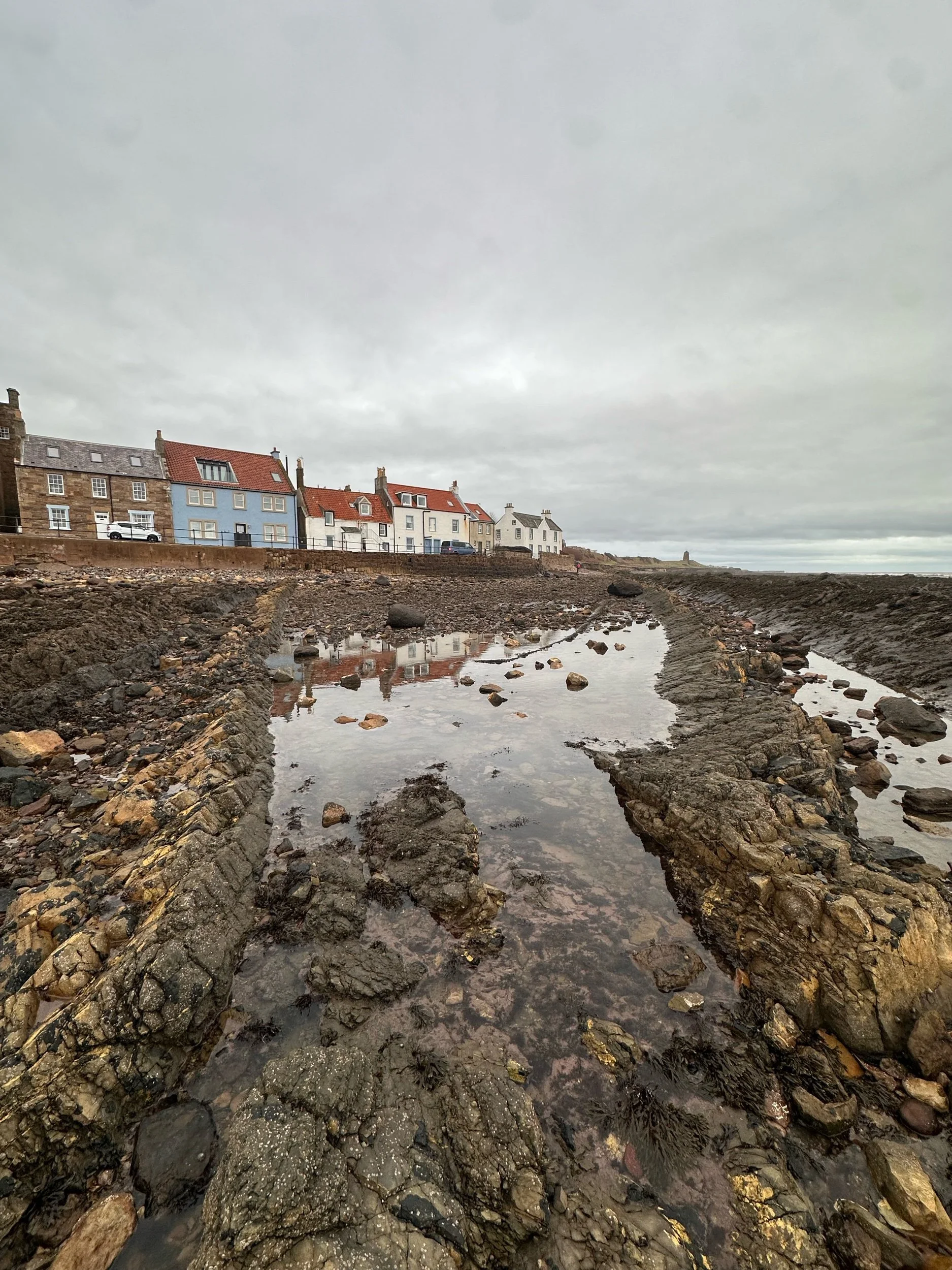 The geology of St Monans Beach, Fife - Sunday 8th March 2026 - 11:00 to 13:00