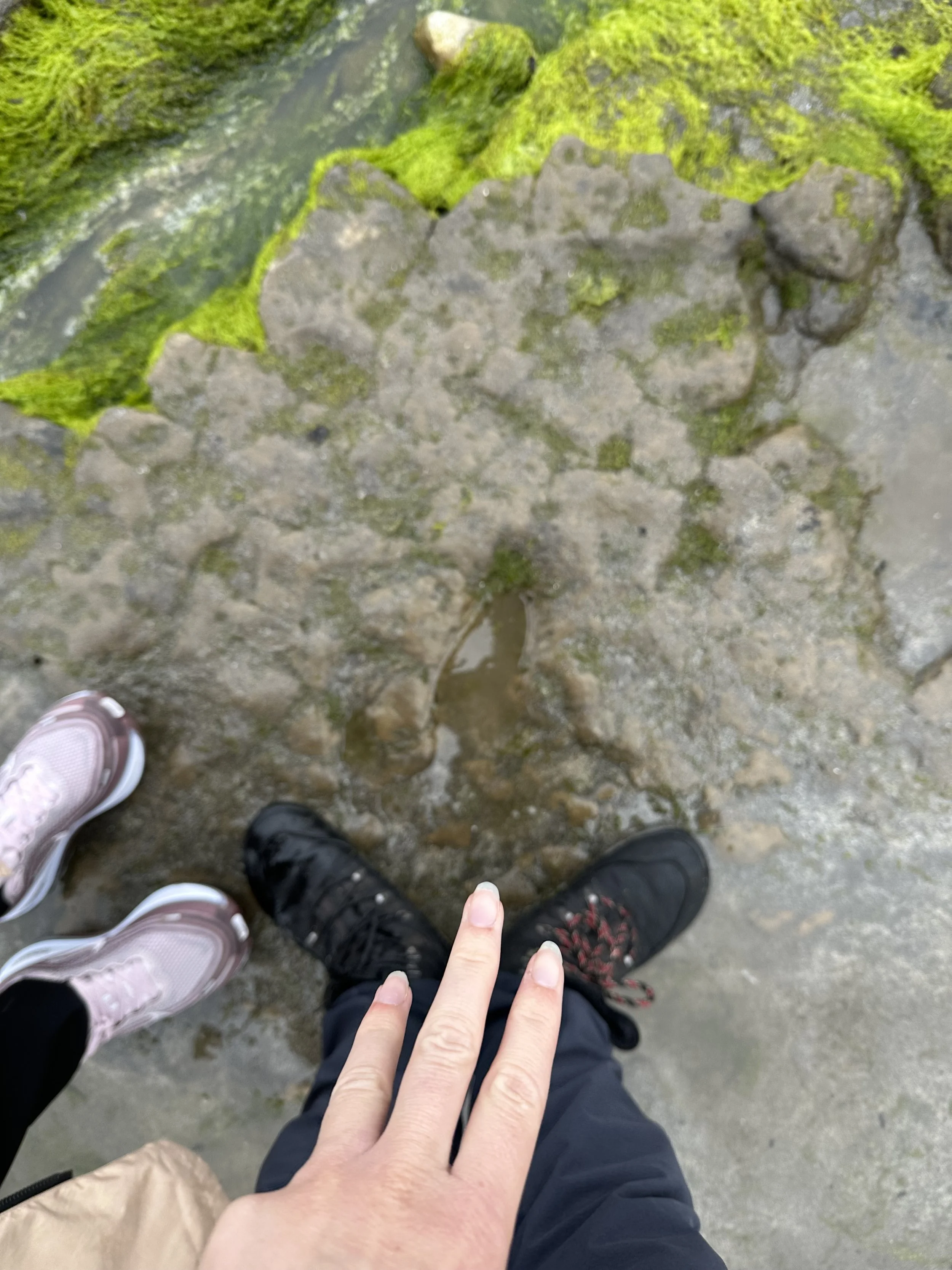 IMG_0847.jpeg