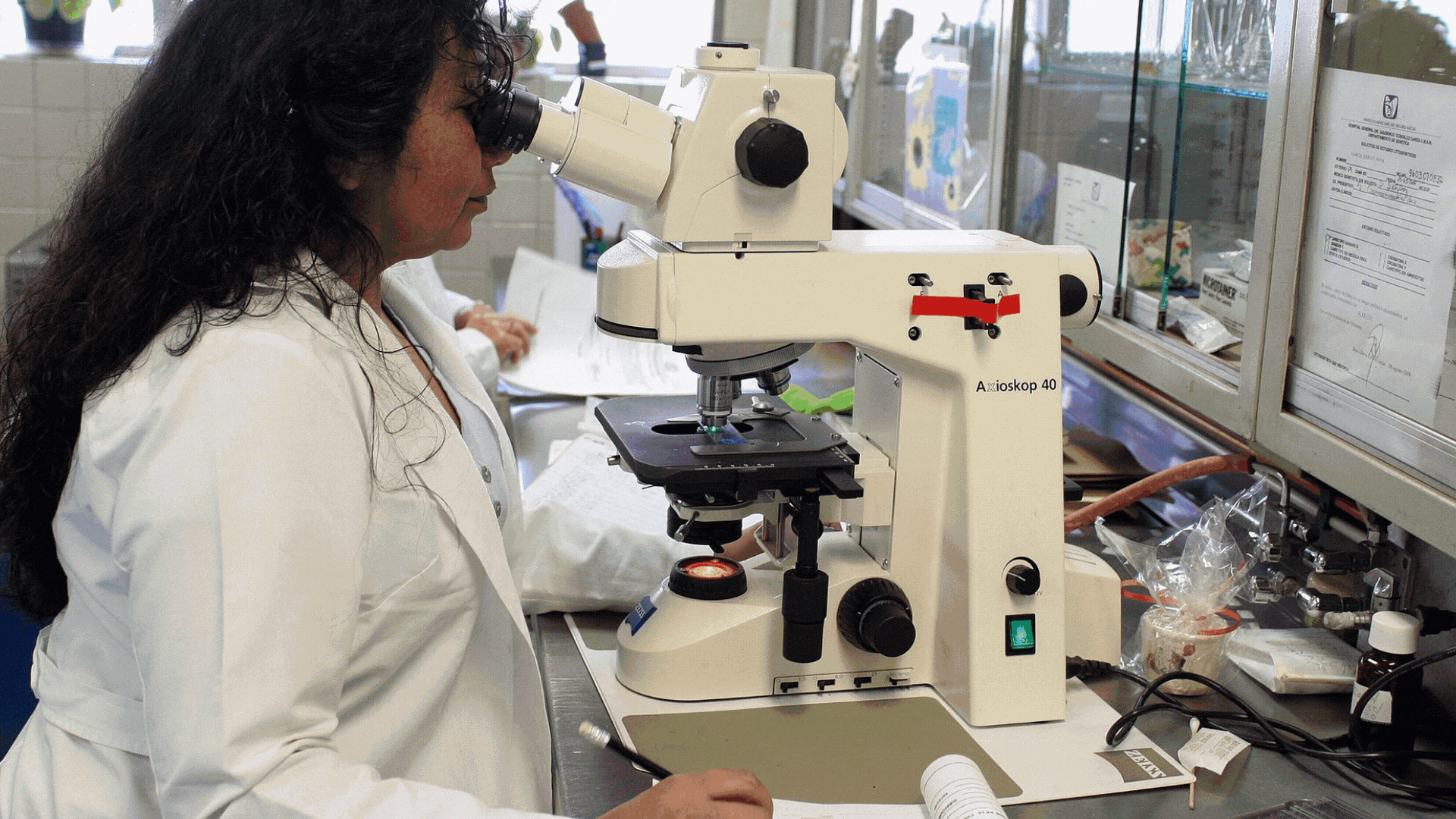 General 1 — Zenix Laboratory