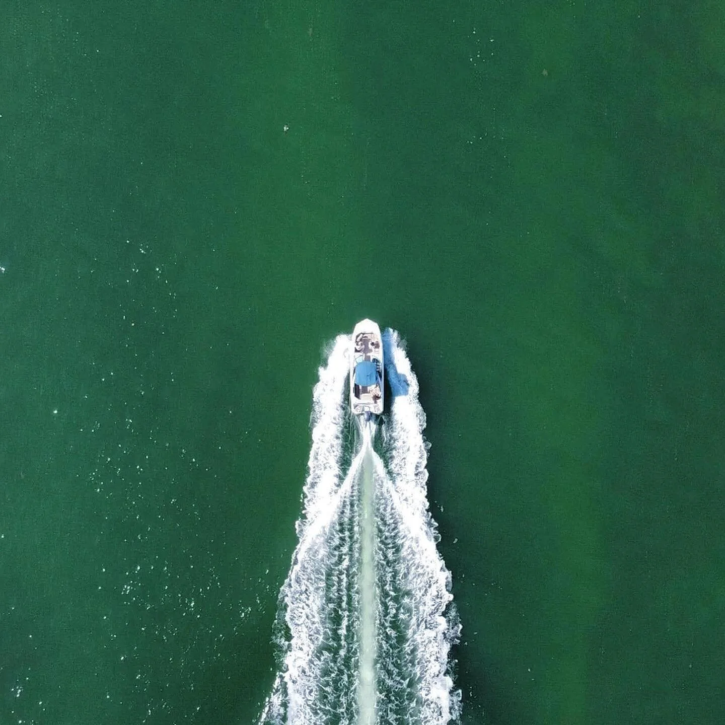 ✨Our boat is available everyday, from day to night time
🥂Water, Sprite, Coke, Fanta, ice are included 
🛥Experienced captain on board who knows Miami better than anyone 
🎉100% fun guarantee 
.
.
.
#miamiboatrental #boatrental #miami #boatmiami #1li