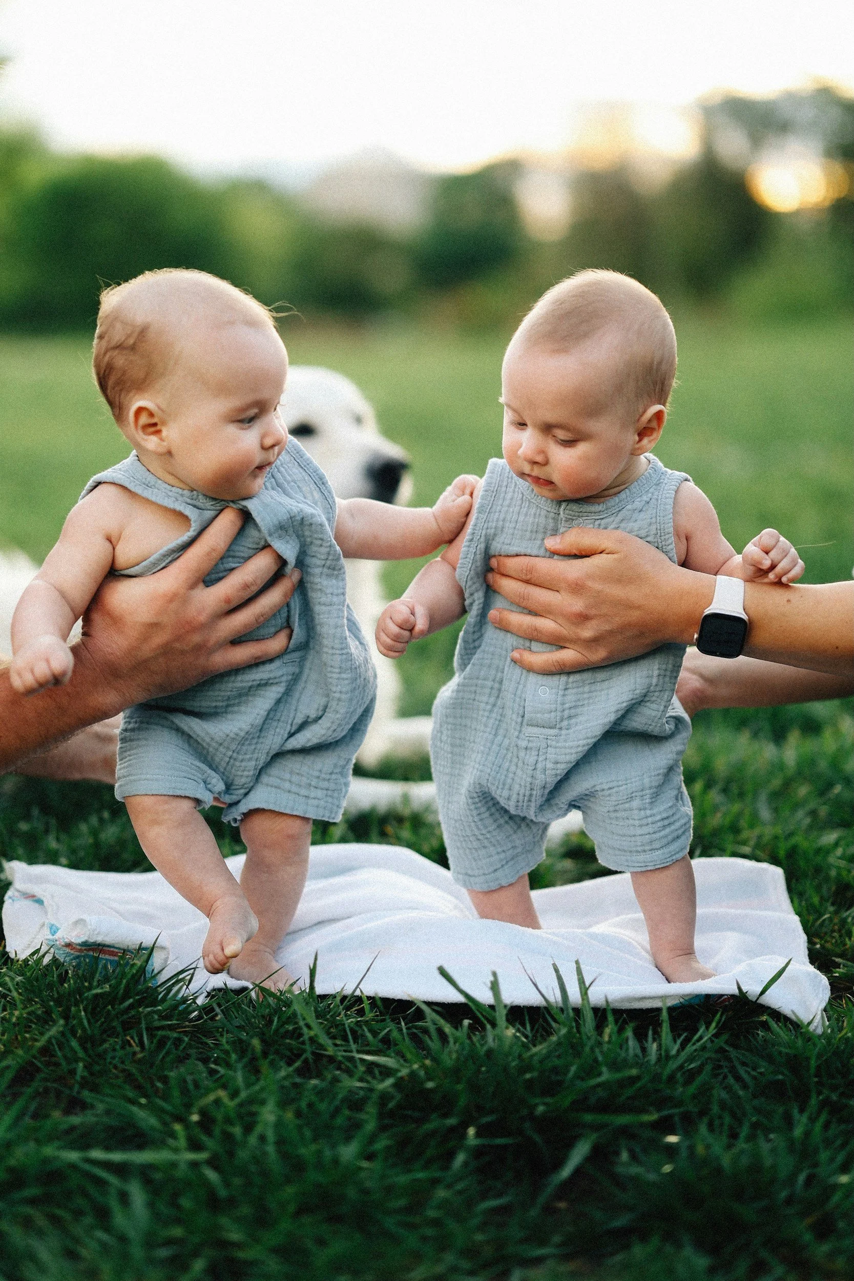 Full-Time Nanny for Infant Twins (Cherry Creek)