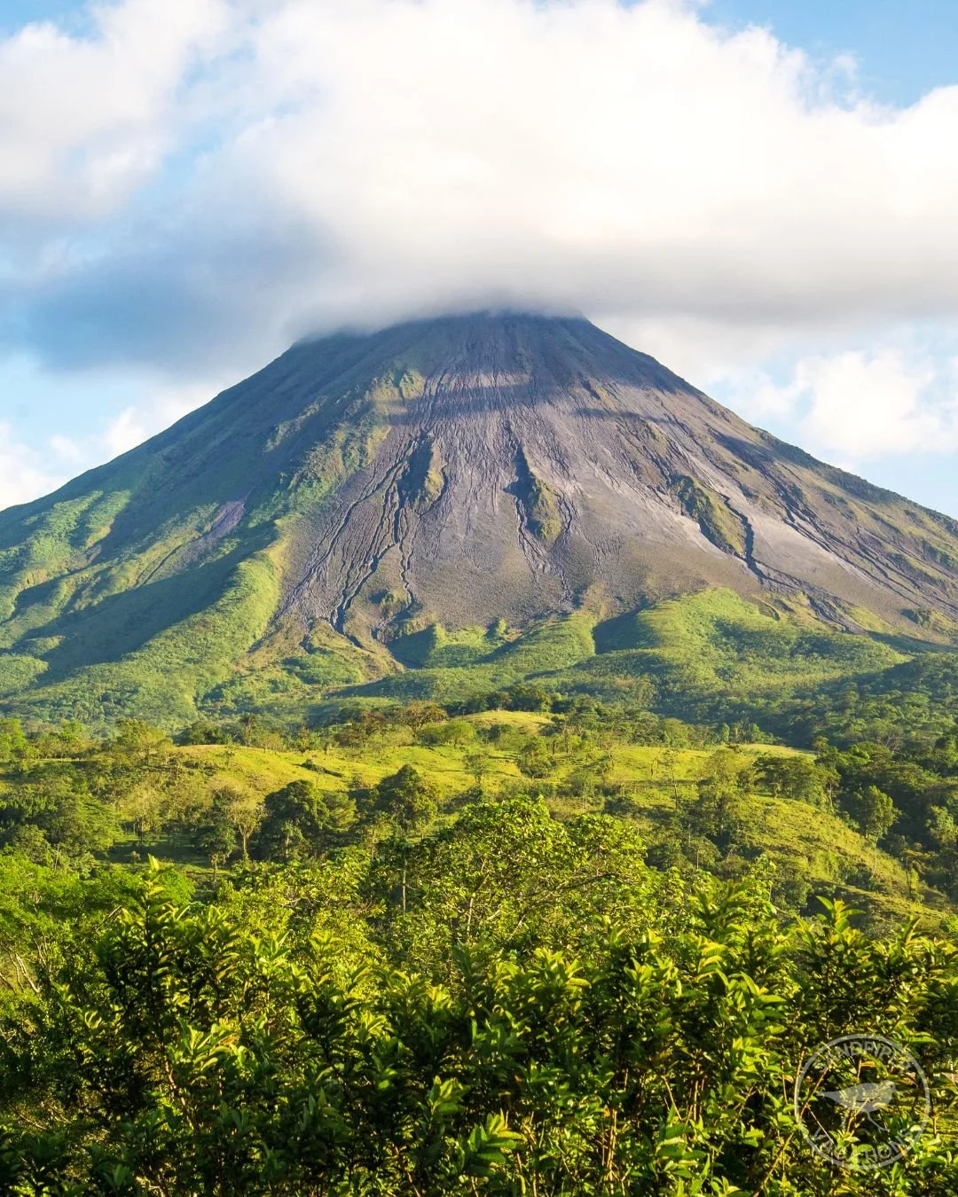 4 Things We Love About Costa Rica 🇨🇷:

1️⃣ Breathtaking Mountains ⛰️ &ndash; The stunning landscapes will leave you in awe, with majestic views around every corner.

2️⃣ Colorful Wildlife 🦜 &ndash; From the vibrant birds soaring through the skies 