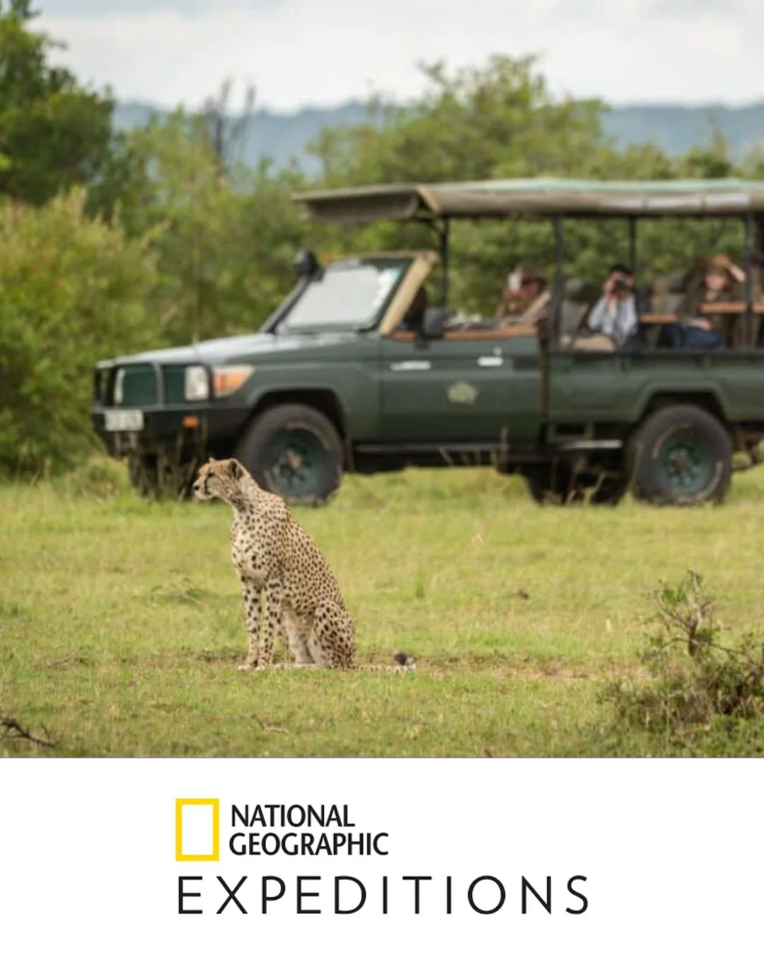 Vacation photos are taken to another level when you're out in Kruger National Park, South Africa 🚙

Go beyond sightseeing and into the wild with National Geographic Expeditions🌍
Immerse yourself deep into the world&rsquo;s most awe-inspiring places
