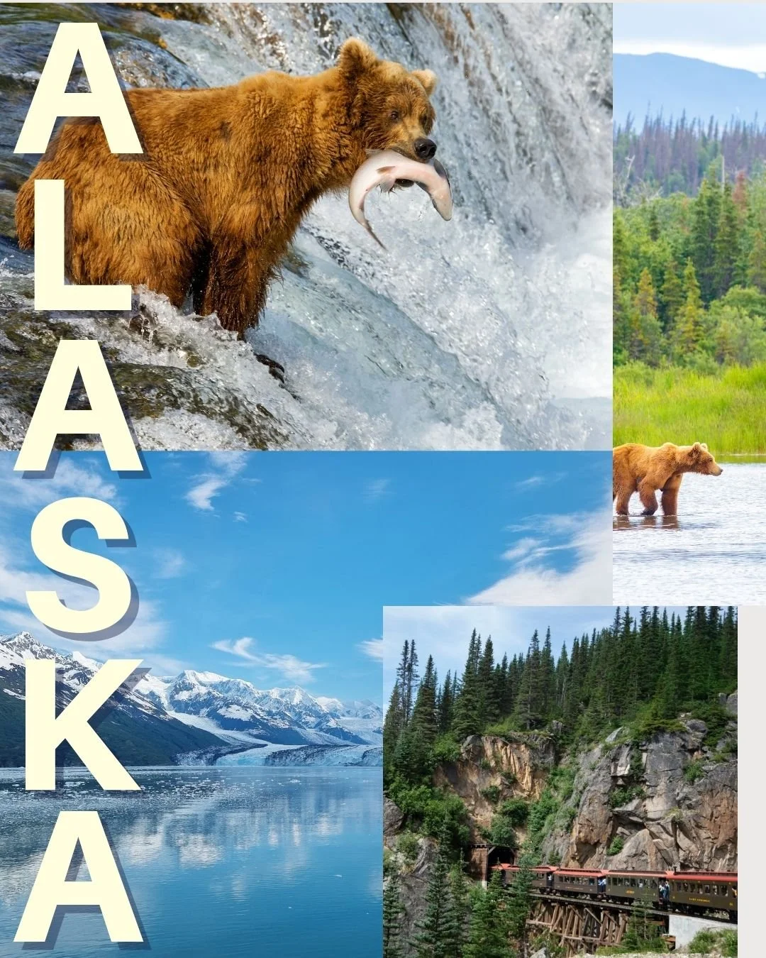 Set sail on the wild side this July! 🏔️ Join our Virgin Voyages Brilliant Lady Alaska group cruise&mdash;where breathtaking glaciers, fearless wildlife, and world-class dining meet an adults-only escape like no other 🍣🐻 

From salmon-filled rivers