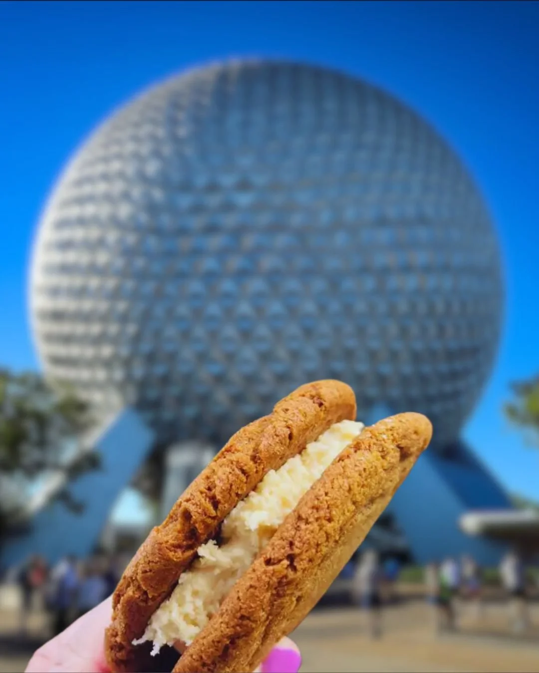 FREE Dining is back at Walt Disney World Resort for select 2026 dates! ✨🍽️

Yes, you read that right&hellip; FREE. Disney. Dining. 🎉

Book a qualifying 2026 vacation package and your family could receive a complimentary Disney dining plan &mdash; w