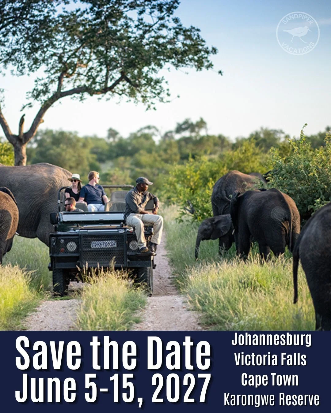 You DO NOT want to miss this!✨🌍

Join us June 5&ndash;15, 2027 for an unforgettable Southern Africa group adventure with Sandpiper Vacations!

This once-in-a-lifetime journey takes you from the vibrant energy of Johannesburg to the awe-inspiring bea