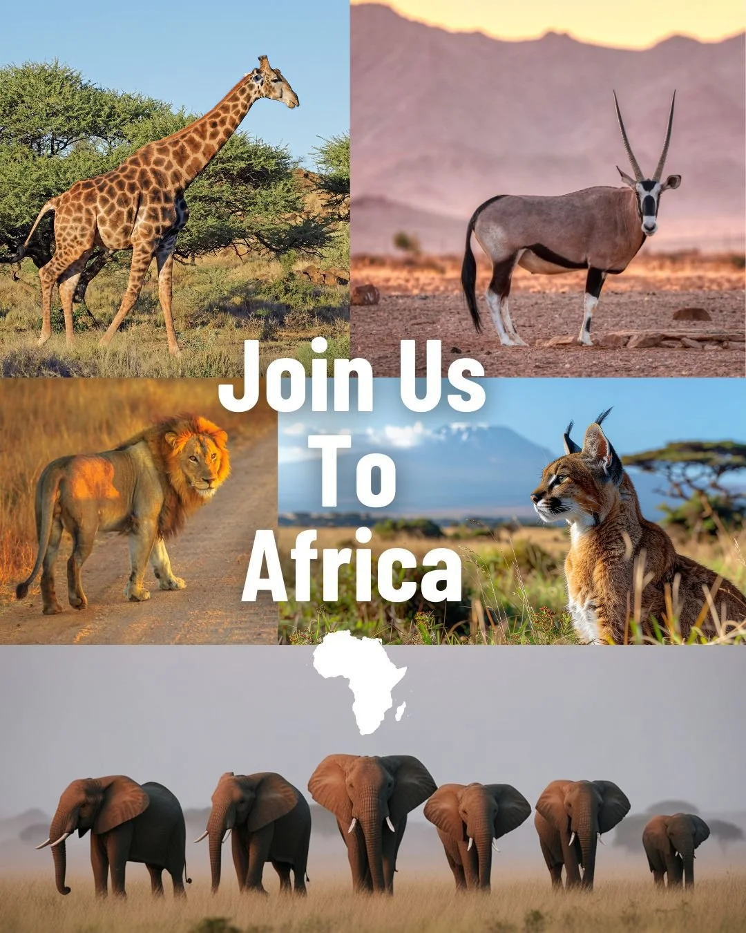 This is the one&hellip; the trip you&rsquo;ll be talking about for the rest of your life 🌍✨

Imagine standing in the mist of Victoria Falls, feeling the thunder of one of the world&rsquo;s greatest wonders&hellip; locking eyes with wildlife on safar