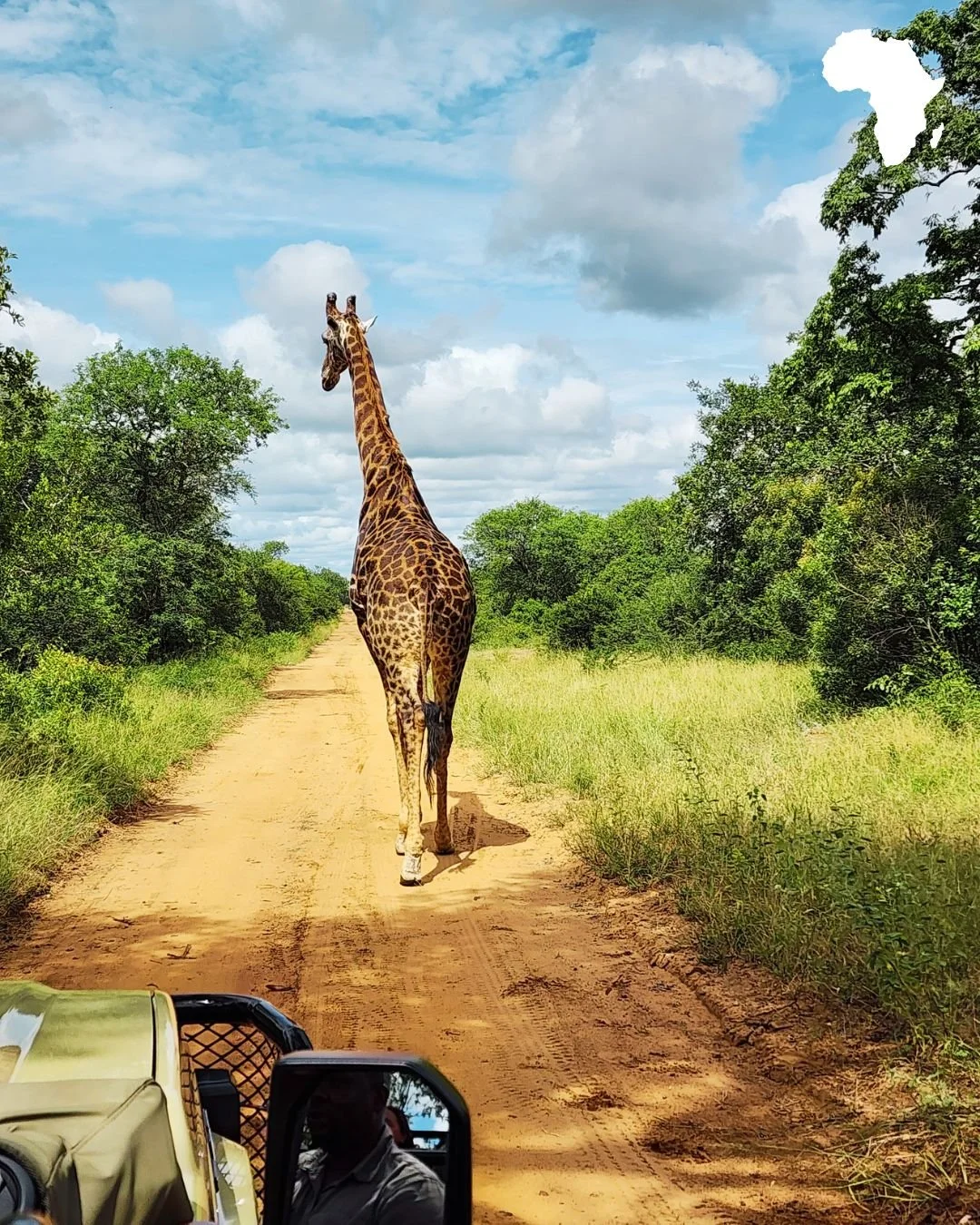 Every unforgettable journey needs a great guide&hellip; and ours sees it all first 🦒✨

☀️ From the roar of Victoria Falls to the vibrant streets of Cape Town and the untamed beauty of a private safari in Karongwe Game Reserve, this 11-day Southern A