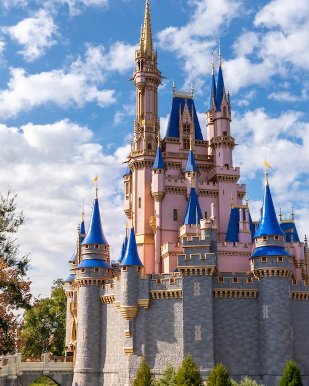You know that feeling when you walk into Magic Kingdom and everything just *clicks*? ✨🏰

The castle at the end of Main Street, the sweet temptations in the confectionery windows 🍬🍭, the kind of moments that make you slow down and smile a little bi