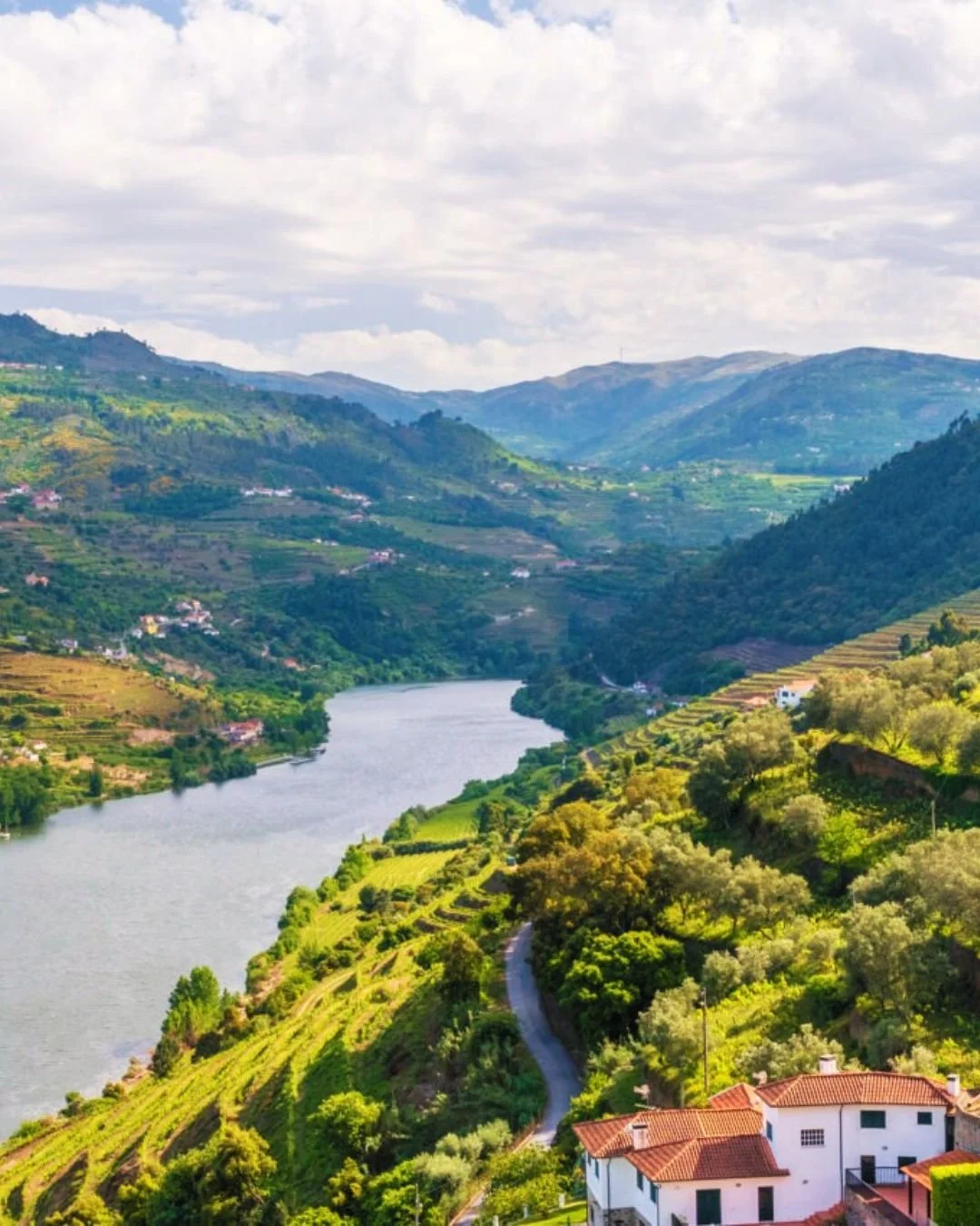 Sun-drenched terraced vineyards, glass of Port in hand, and the gentle breeze of the "River of Gold"&mdash;welcome to the Douro ✨

Unpack once and let Portugal&rsquo;s most breathtaking landscape glide past your balcony. From the historic c
