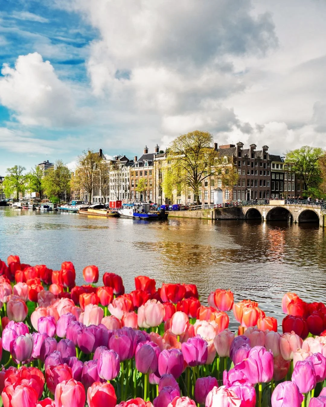 Destination Spotlight ➡️ Amsterdam, Netherlands &mdash; A Safe, Welcoming Haven for LGBTQ+ Travelers 🌈🚲

As part of our Pride Month celebration, we&rsquo;re highlighting Amsterdam&mdash;a city where inclusivity is woven into everyday life. Known wo